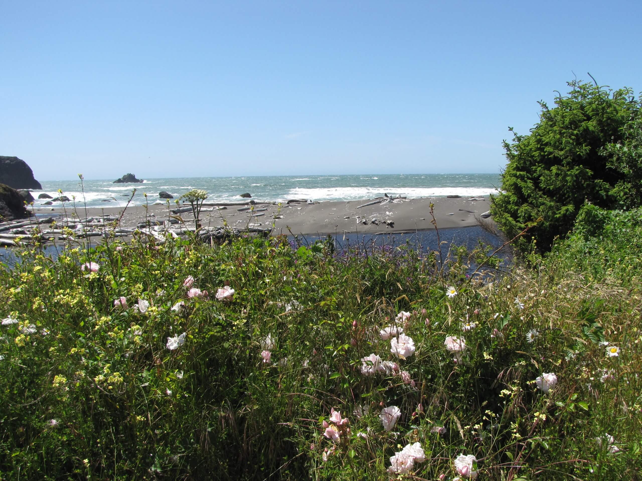 Coastal Trail and Yurok Loop