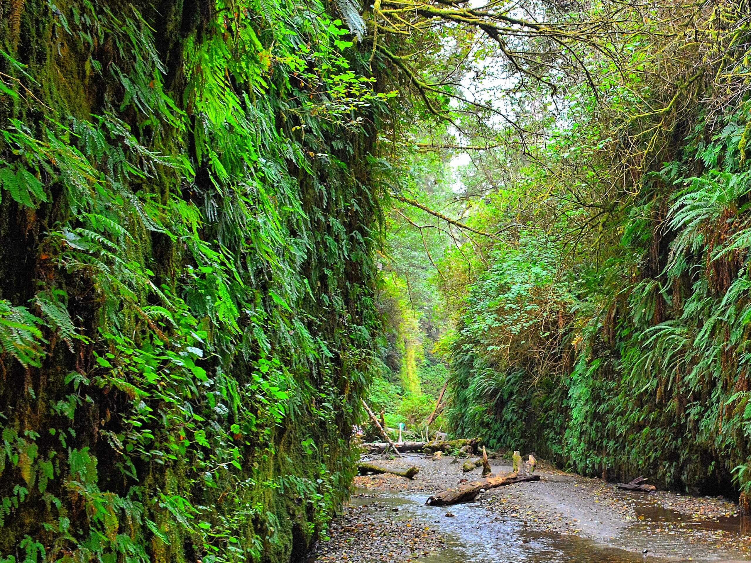 James Irvin Trail