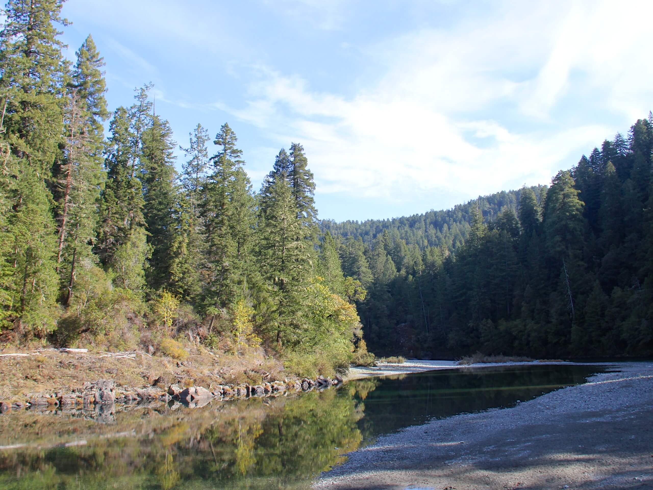 Jedediah Smith River Trail