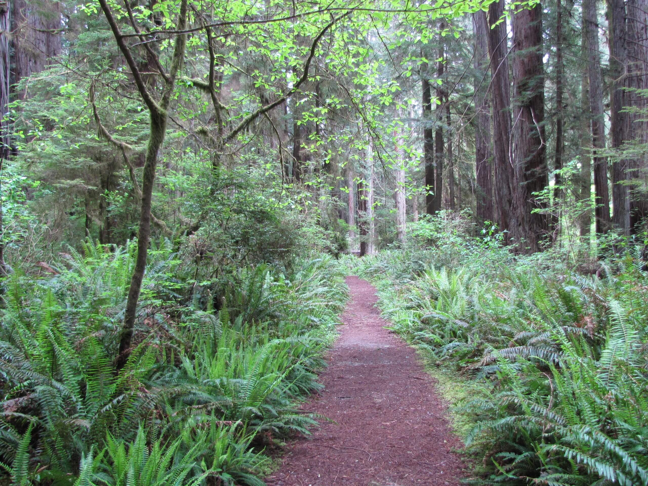 West Ridge and Prairie Creek Loop