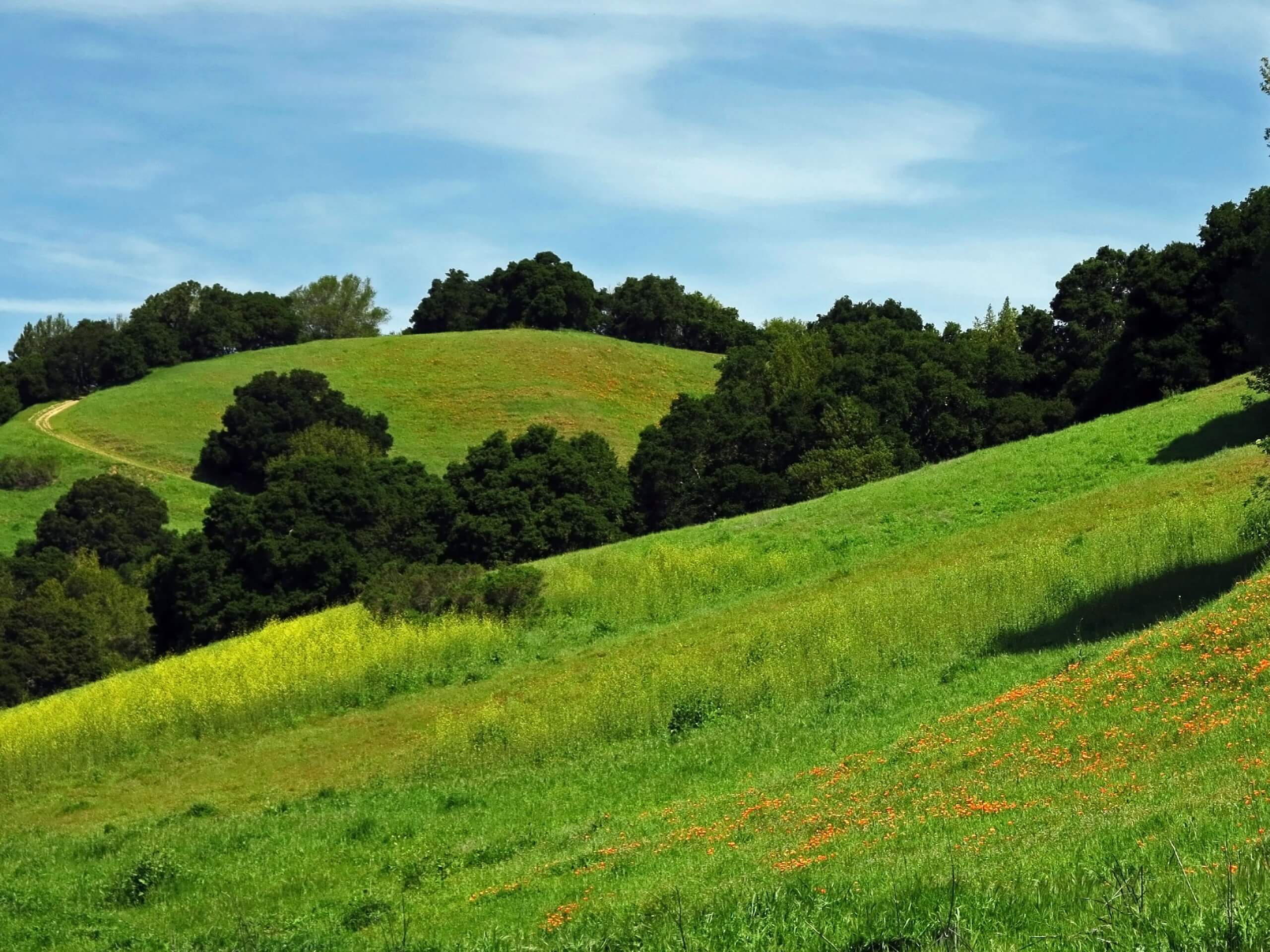 Briones Regional Park Loop via Bear Creek Trailhead