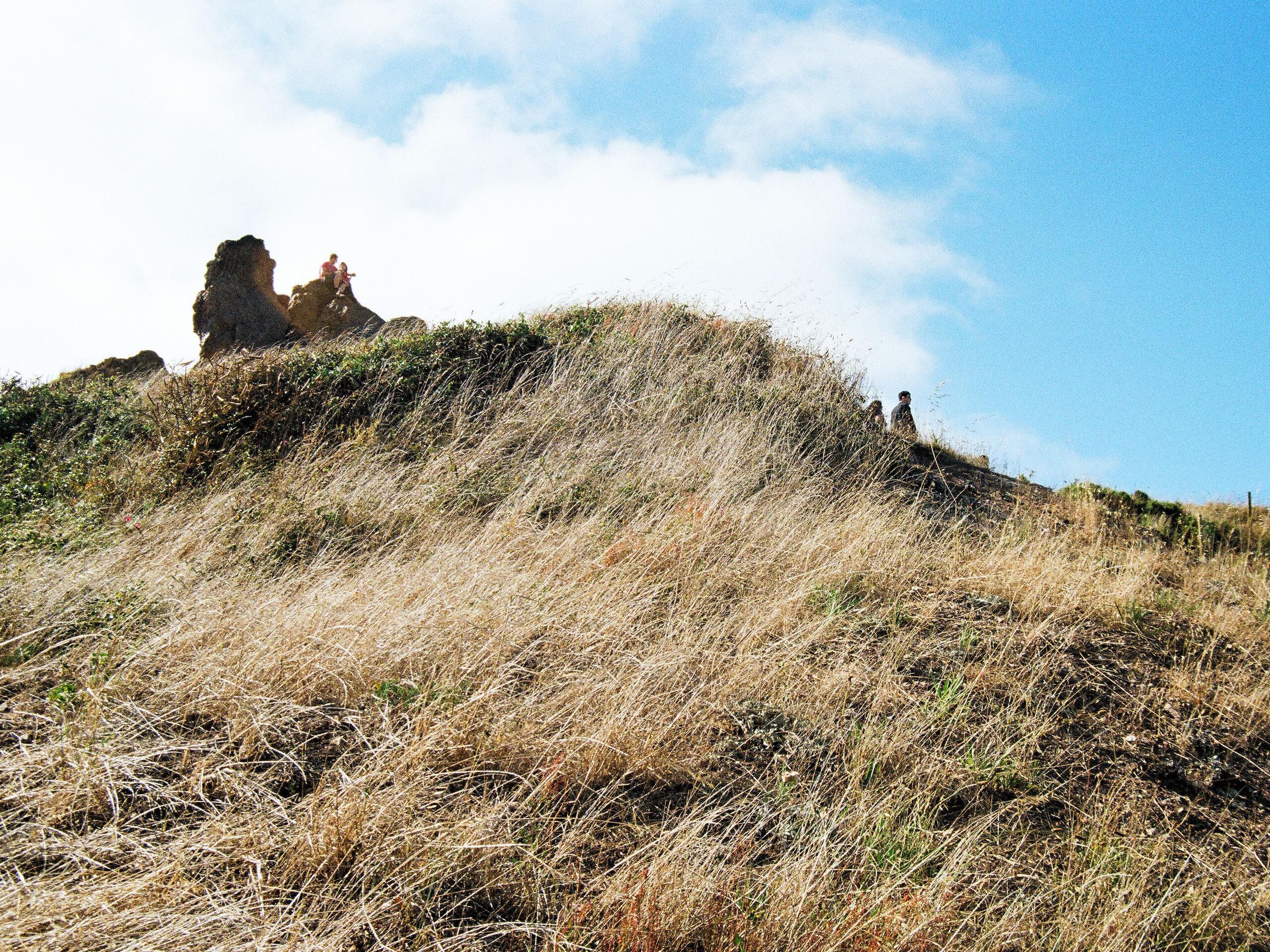 Corona Heights Trail