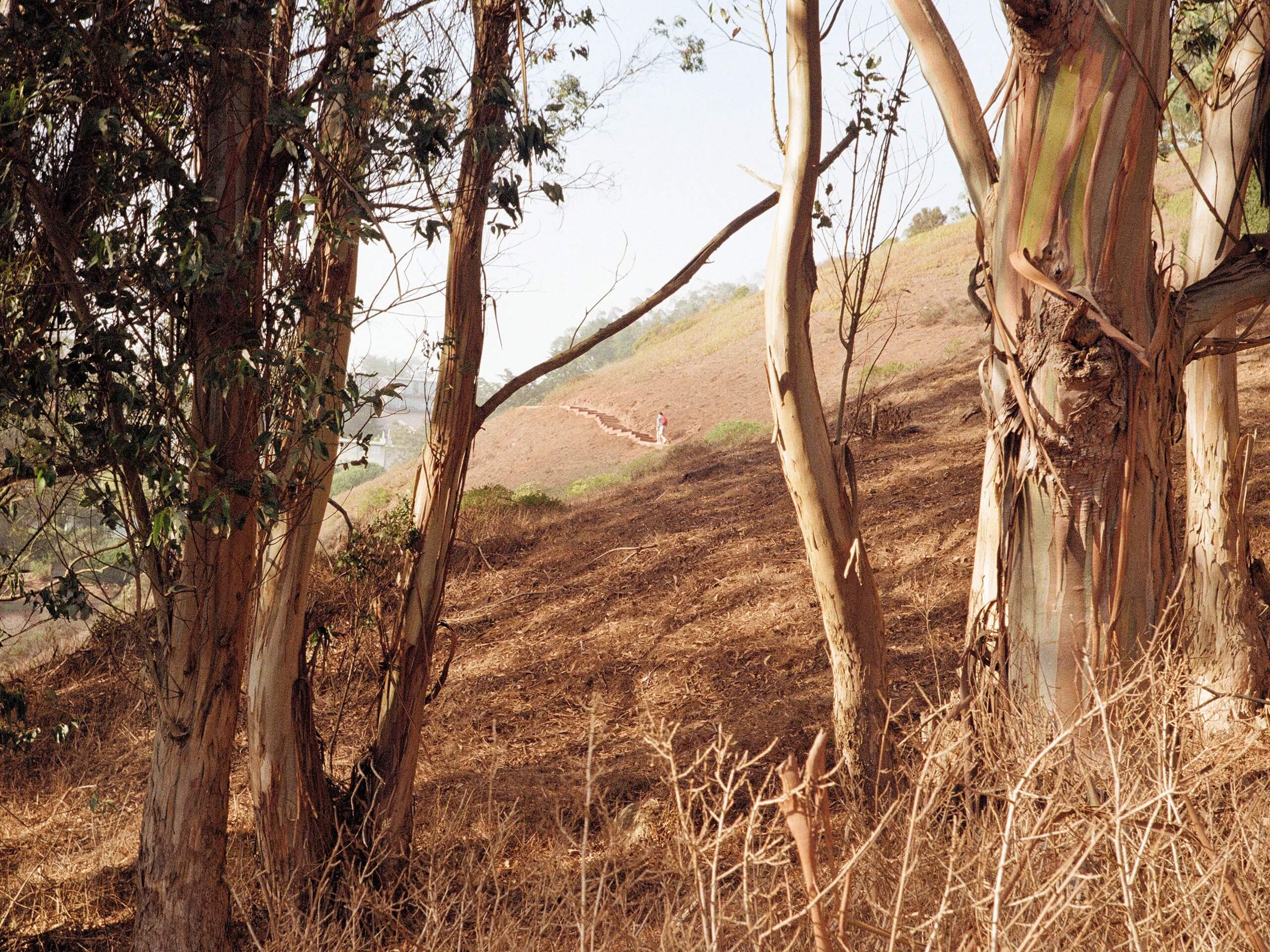 Creeks to Peaks Trail