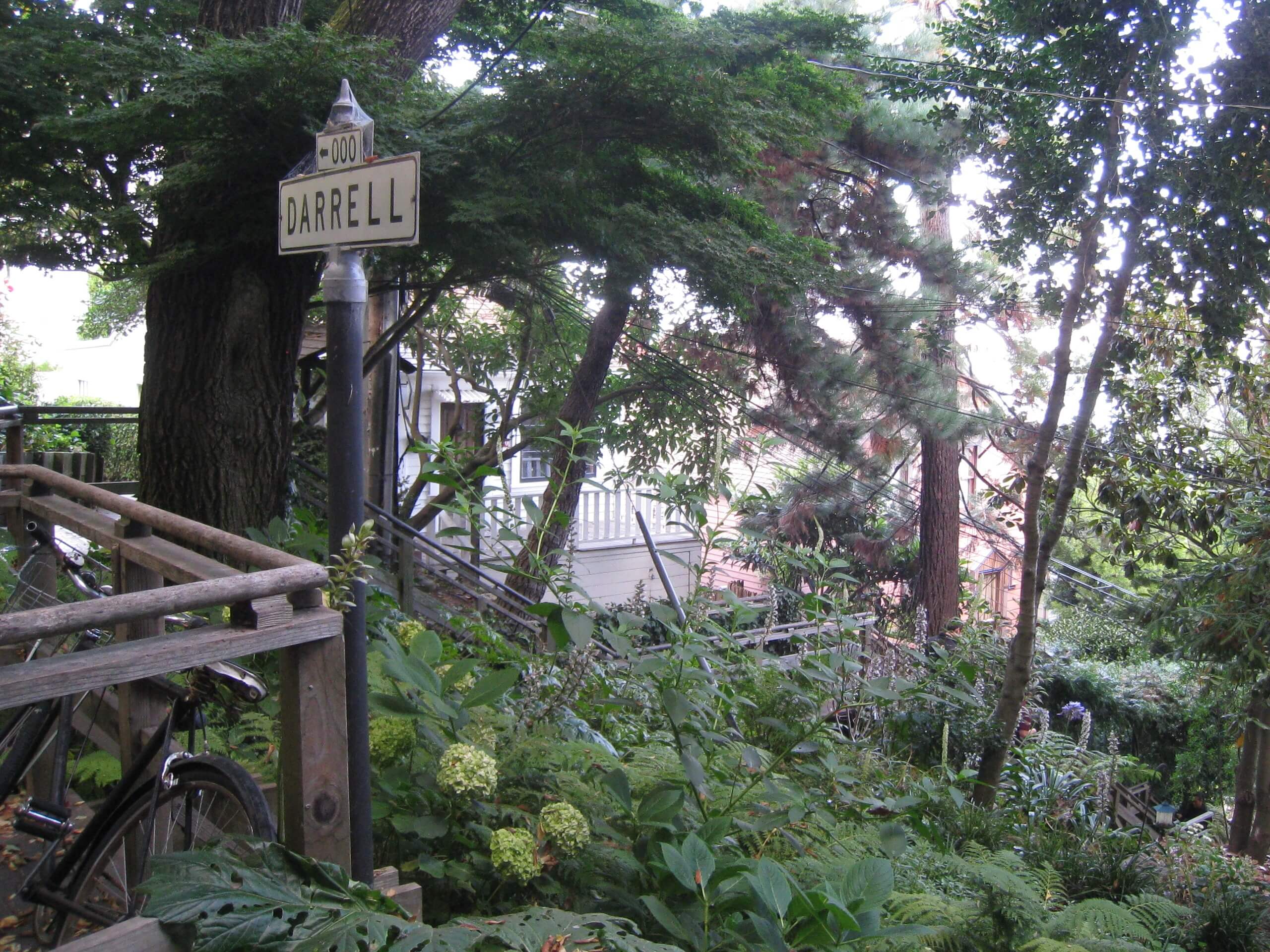 Filbert Steps to Telegraph Hill Hike