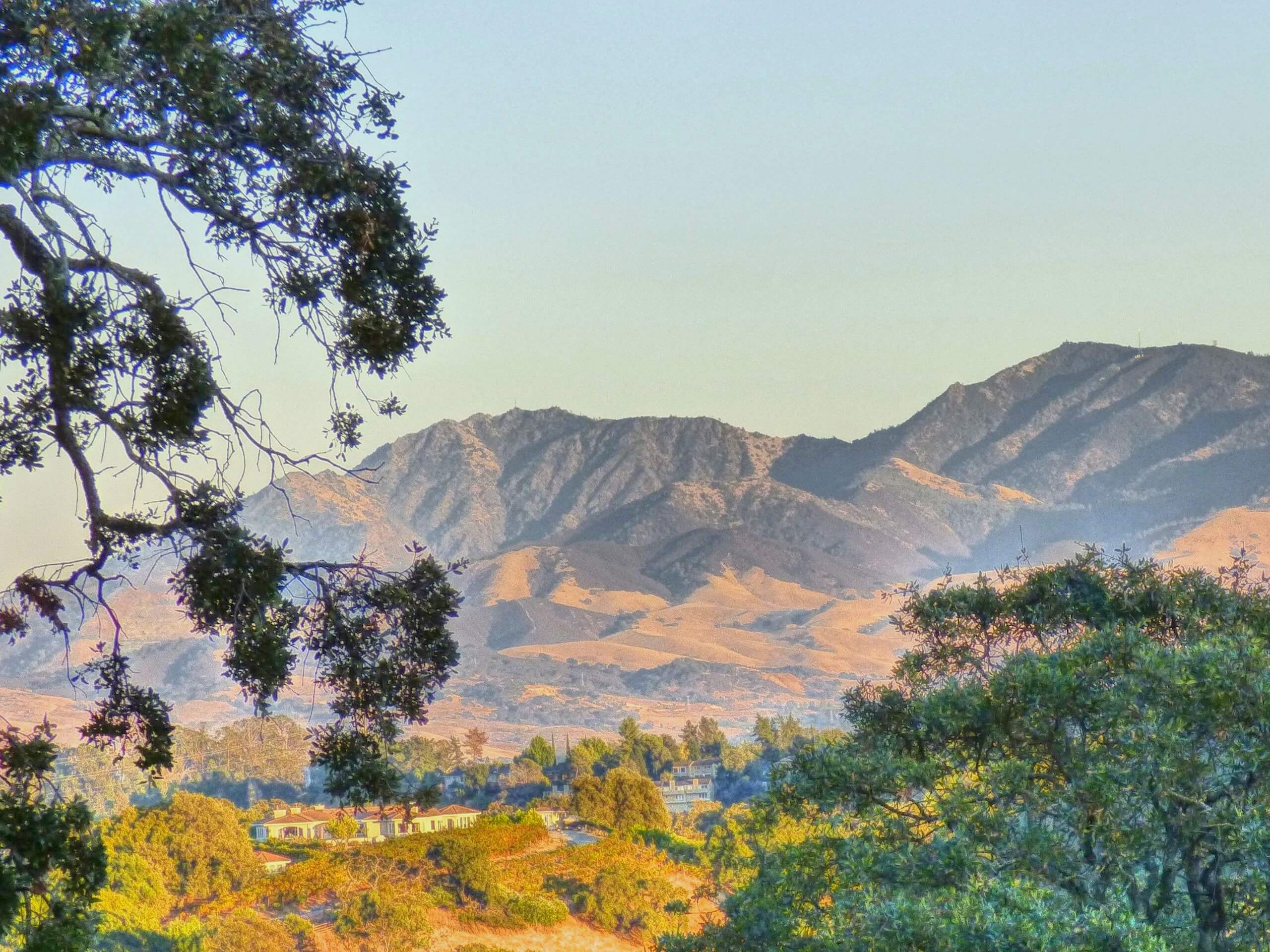 Mount Diablo Hike