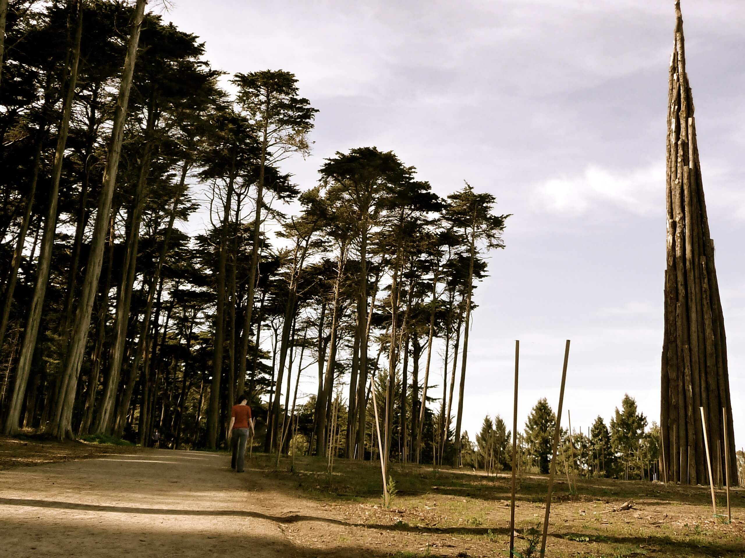 Presidio Ecology Trail