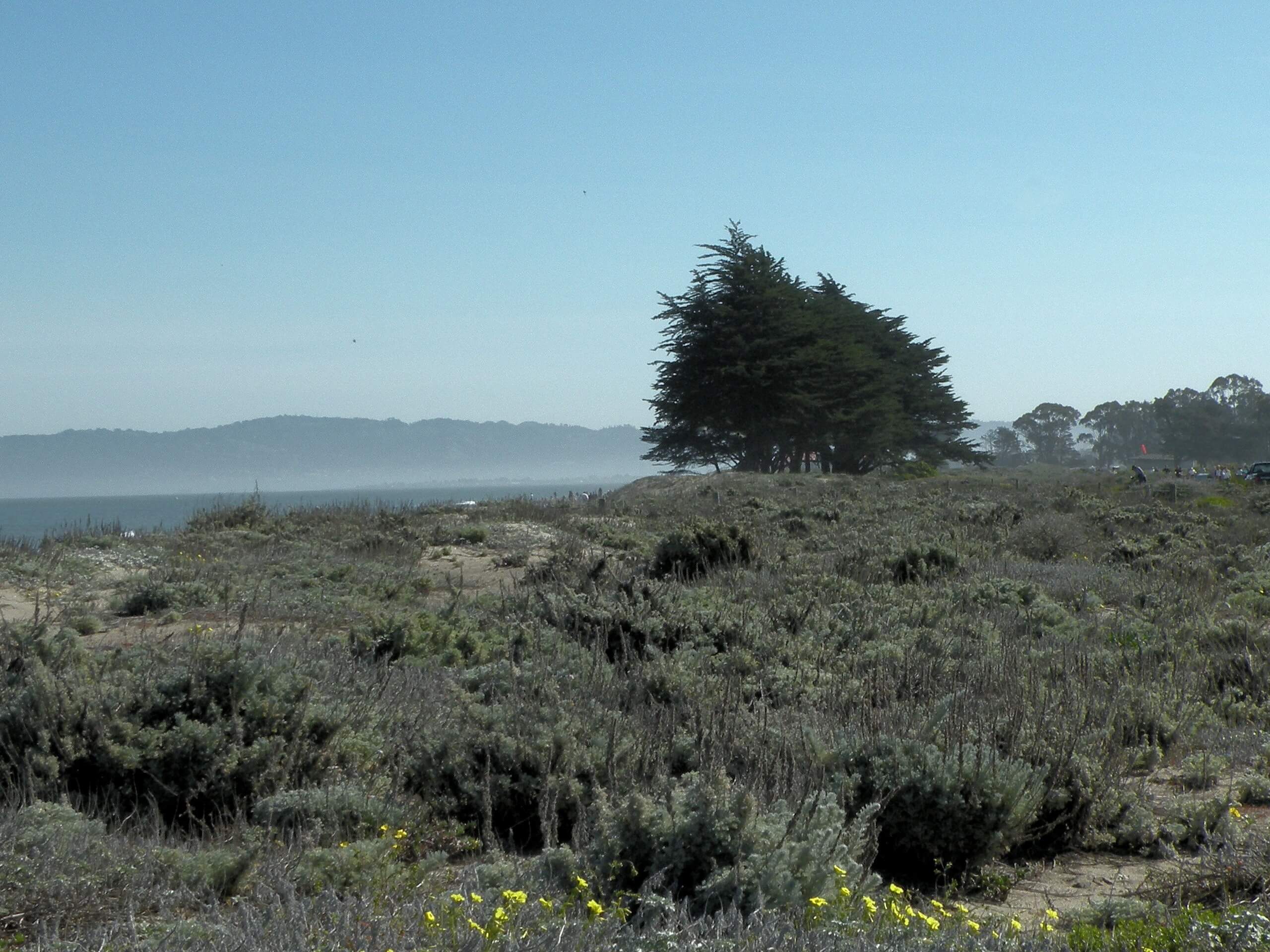 Presidio Loop Trail