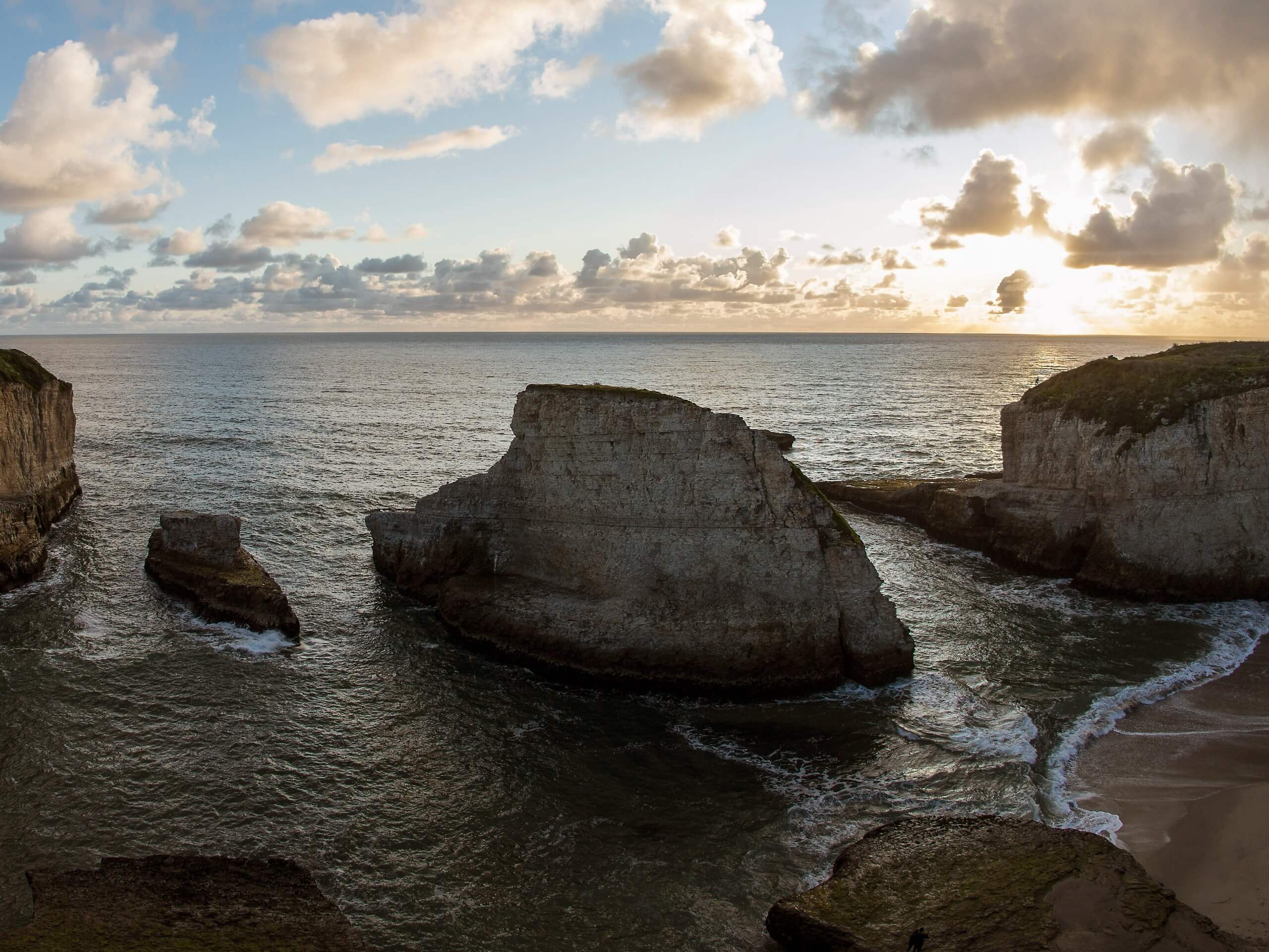 Shark Fin Cove Loop