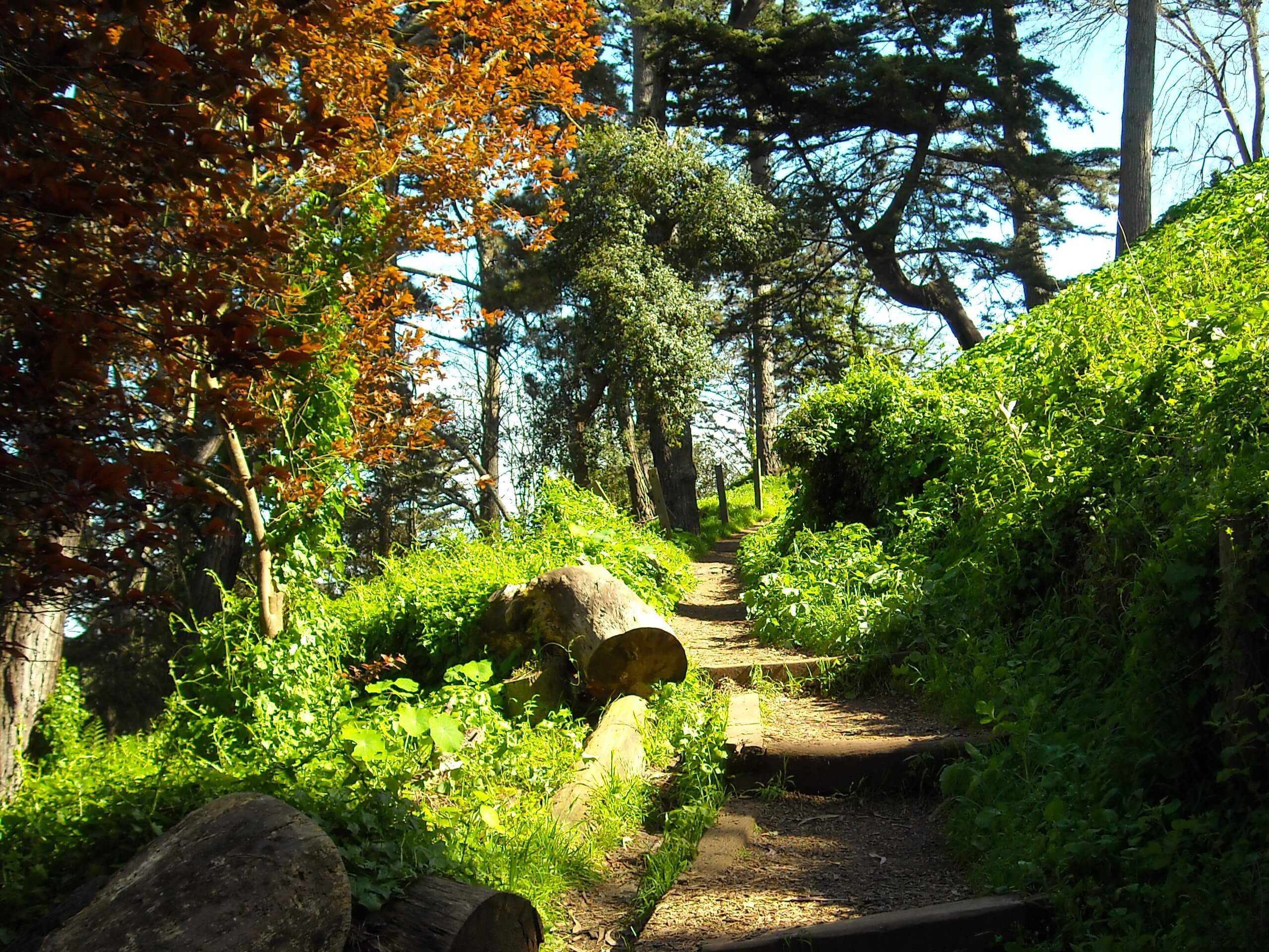 Strawberry Hill Hike