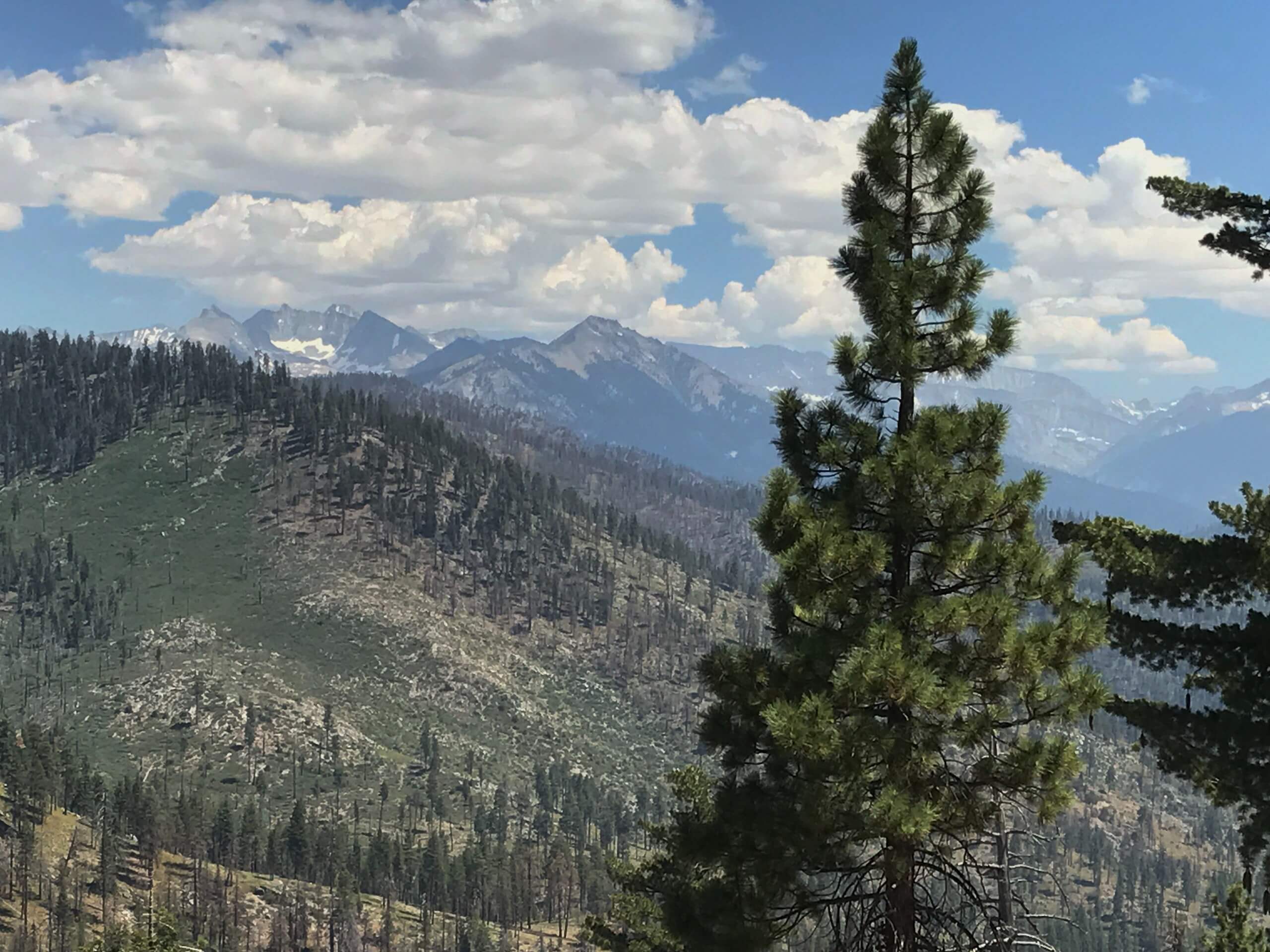 Frypan Meadows via Lewis Creek Trail