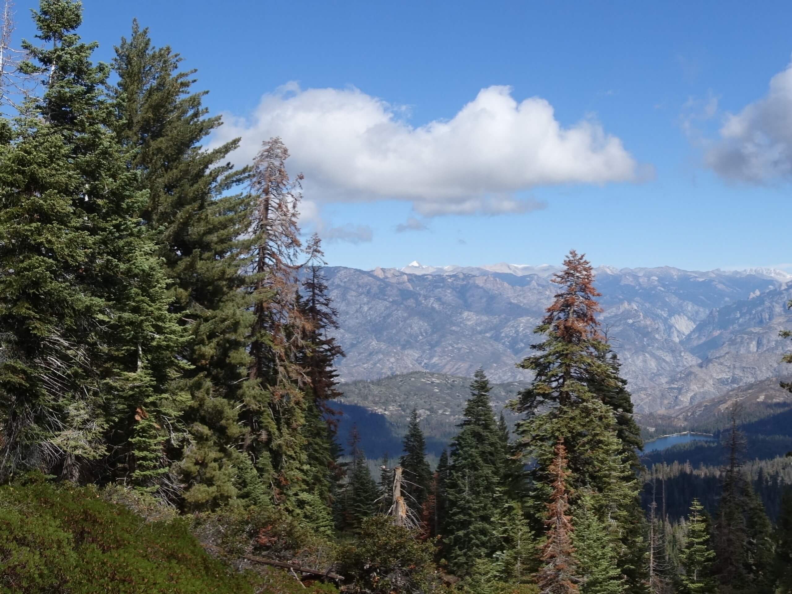 Panoramic Point to Park Ridge Hike