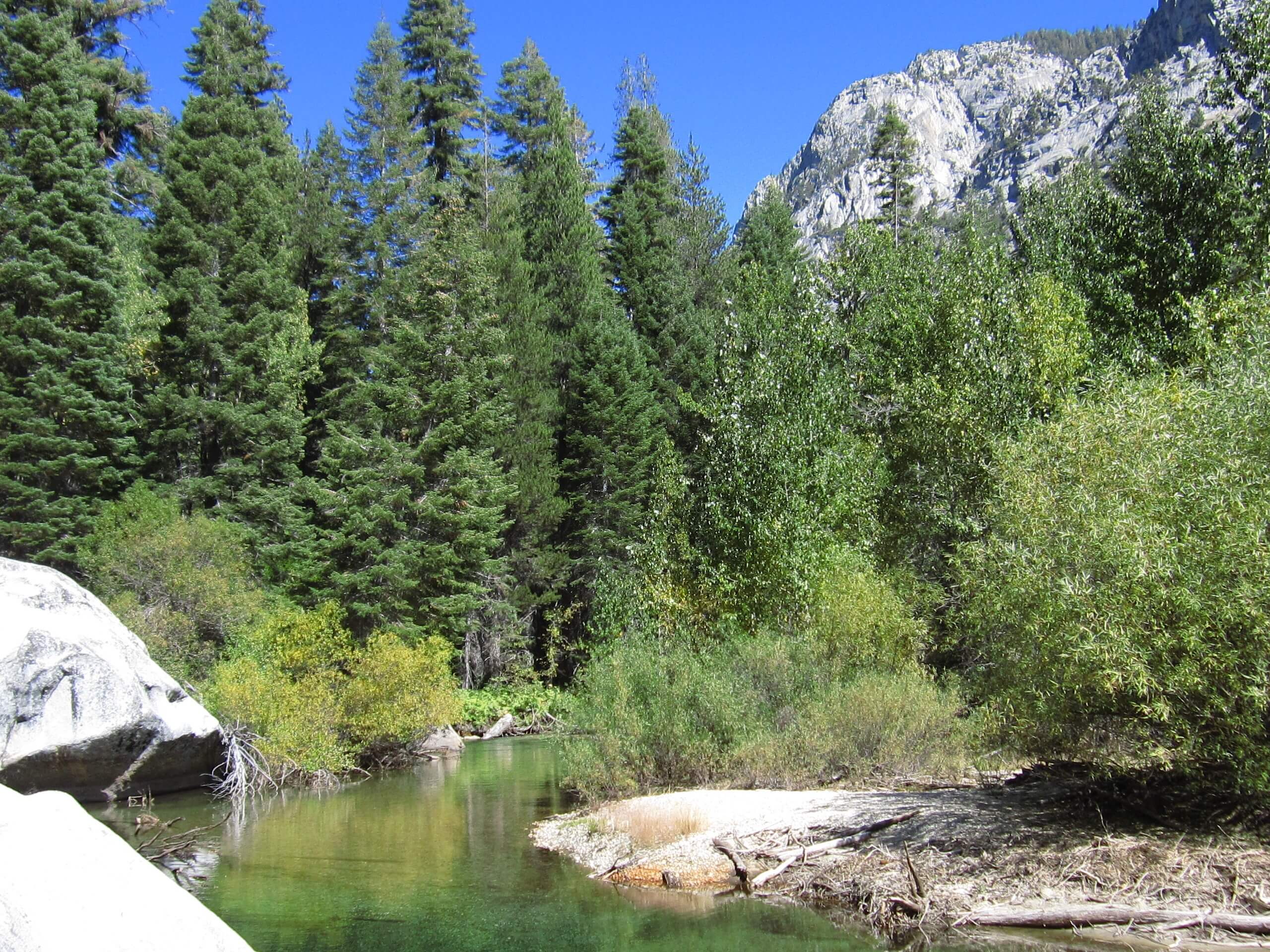 Road’s End to Bailey Bridge Hike