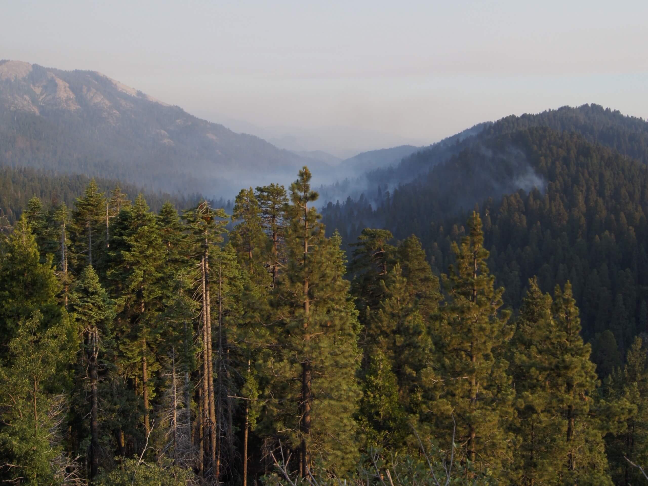 Sugar Bowl and Redwood Creek Loop Trail