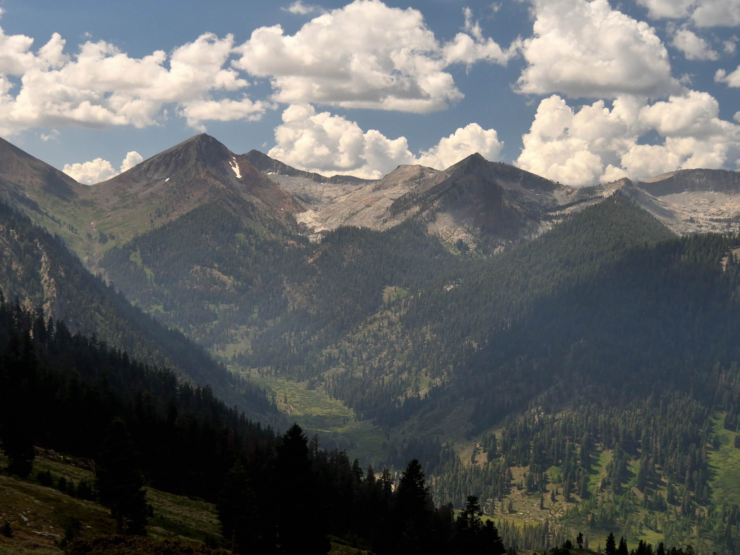 Timber Gap Trail