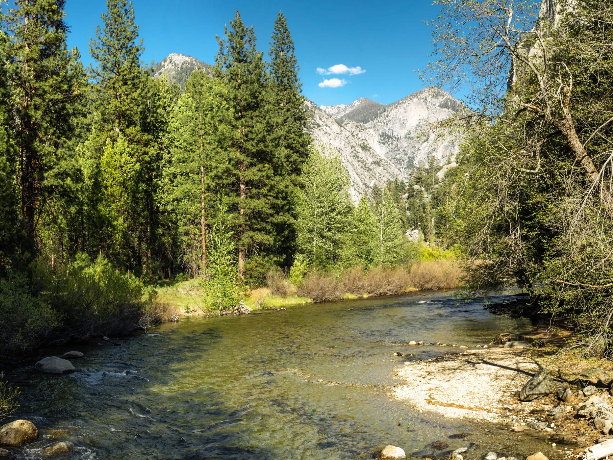 Zumwalt Meadow Trail