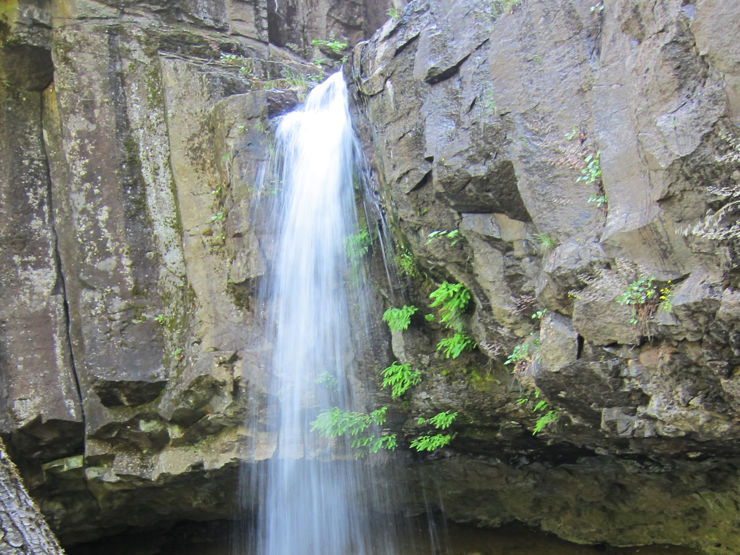 Hedge Creek Falls Trail
