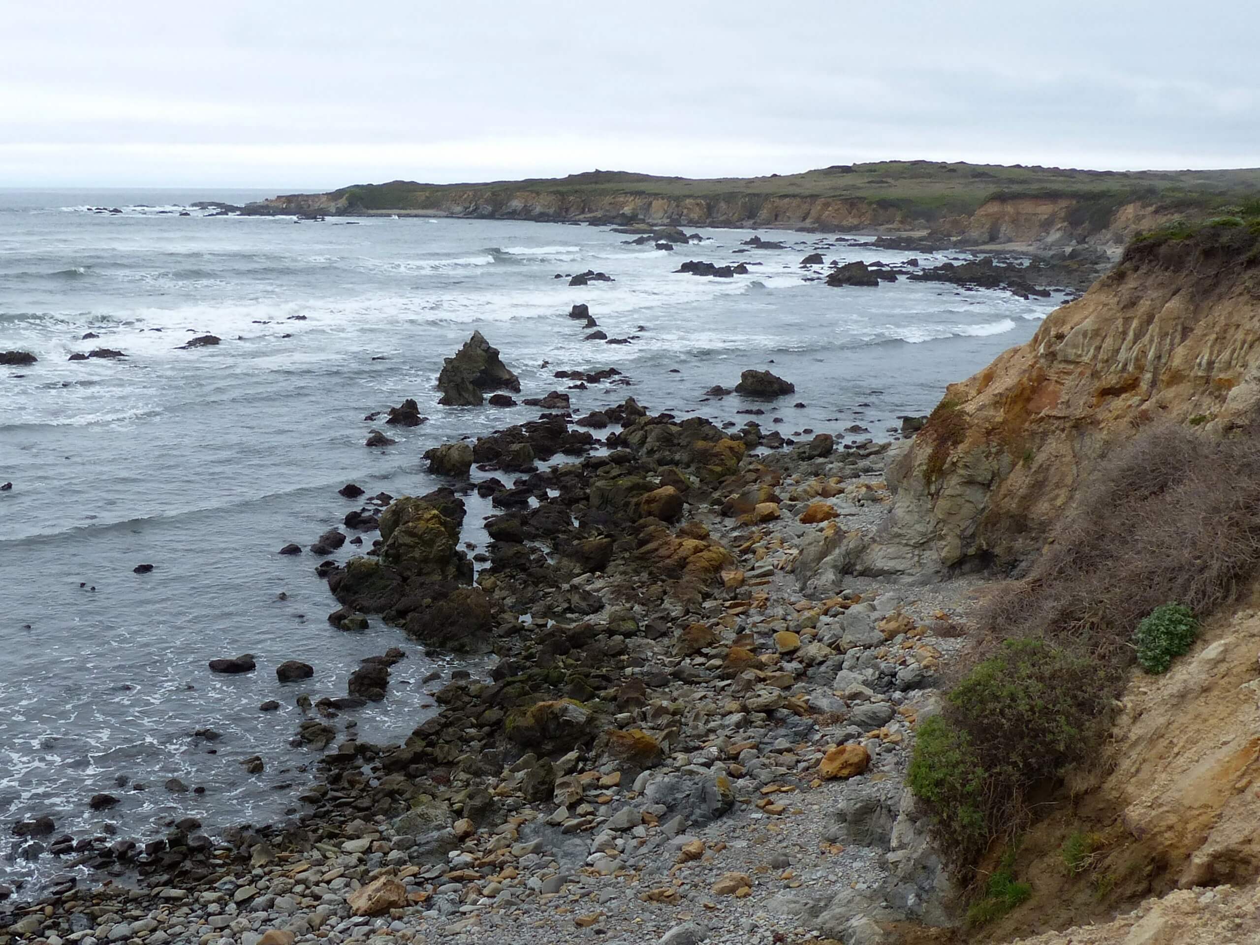 Año Nuevo Point Trail