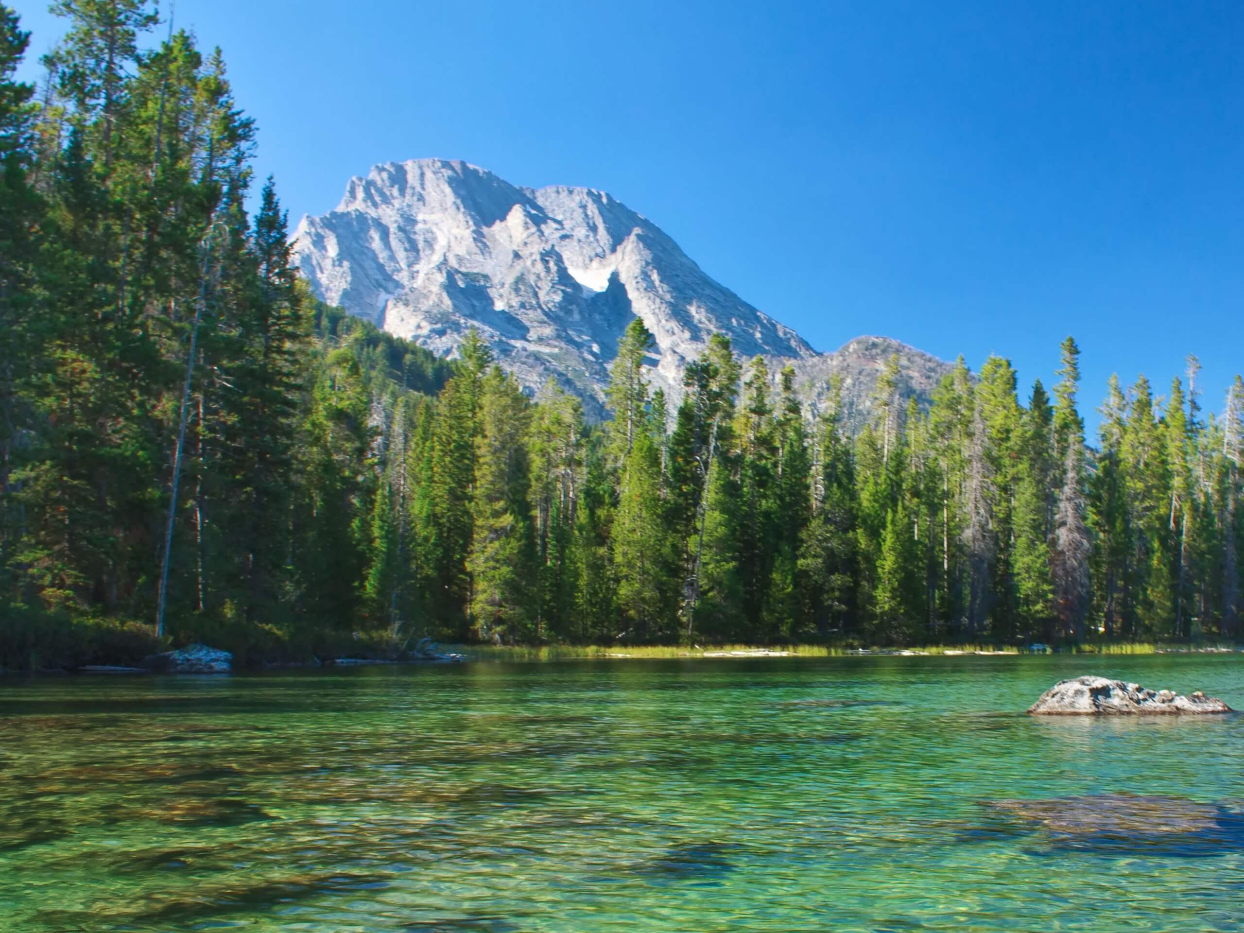 Bearpaw and Trapper Lakes Trail