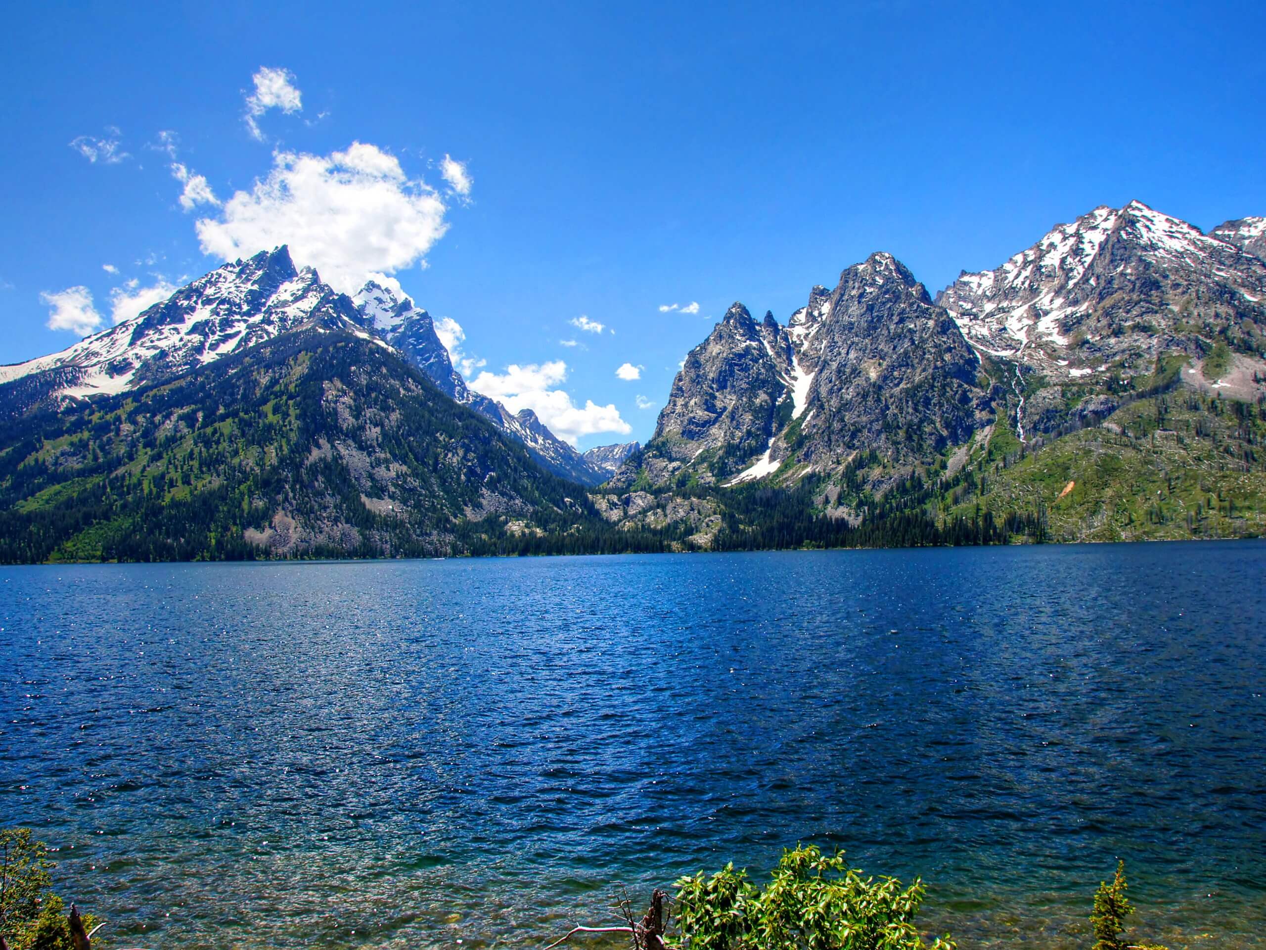 The Jenny Lake Trail