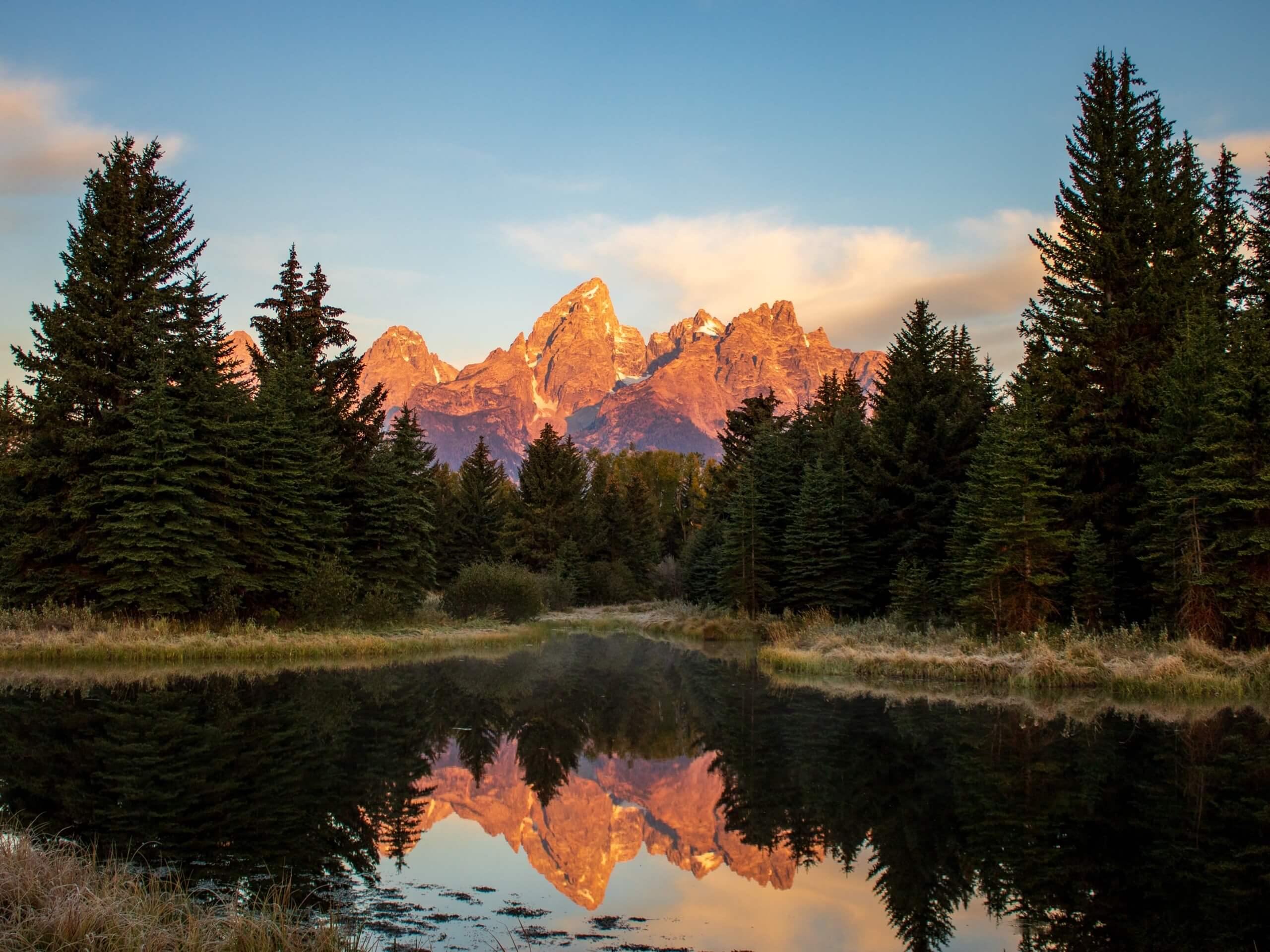 Schwabacher’s Landing Trail