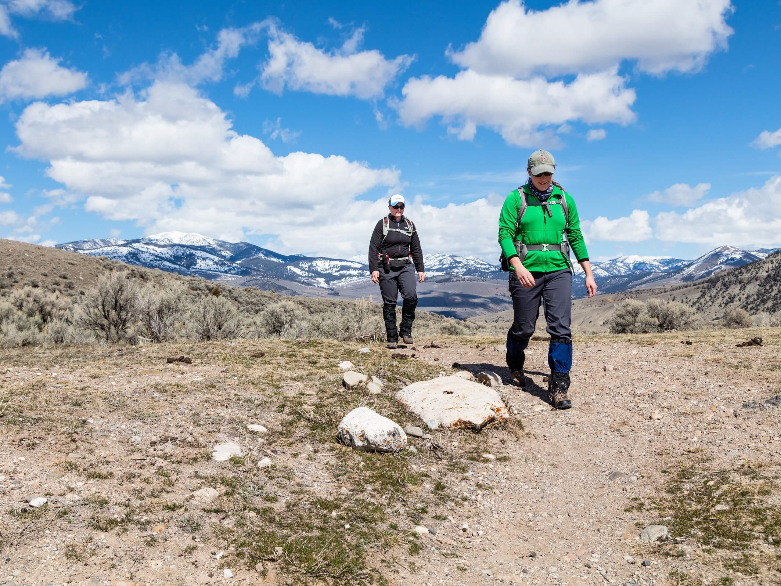 Beaver Ponds Loop