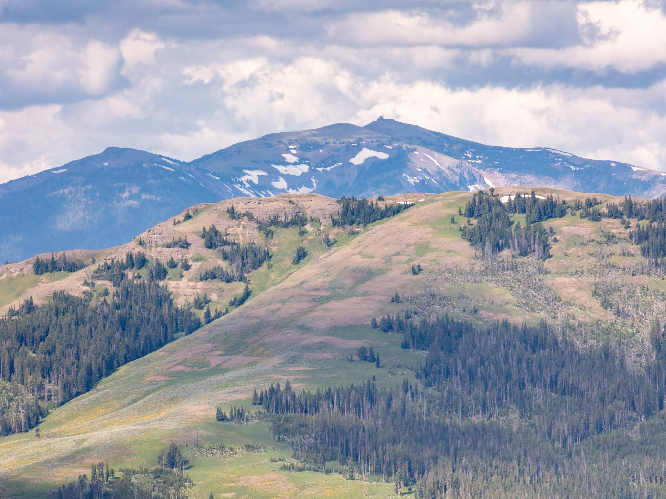 Chittenden Road to Mount Washburn