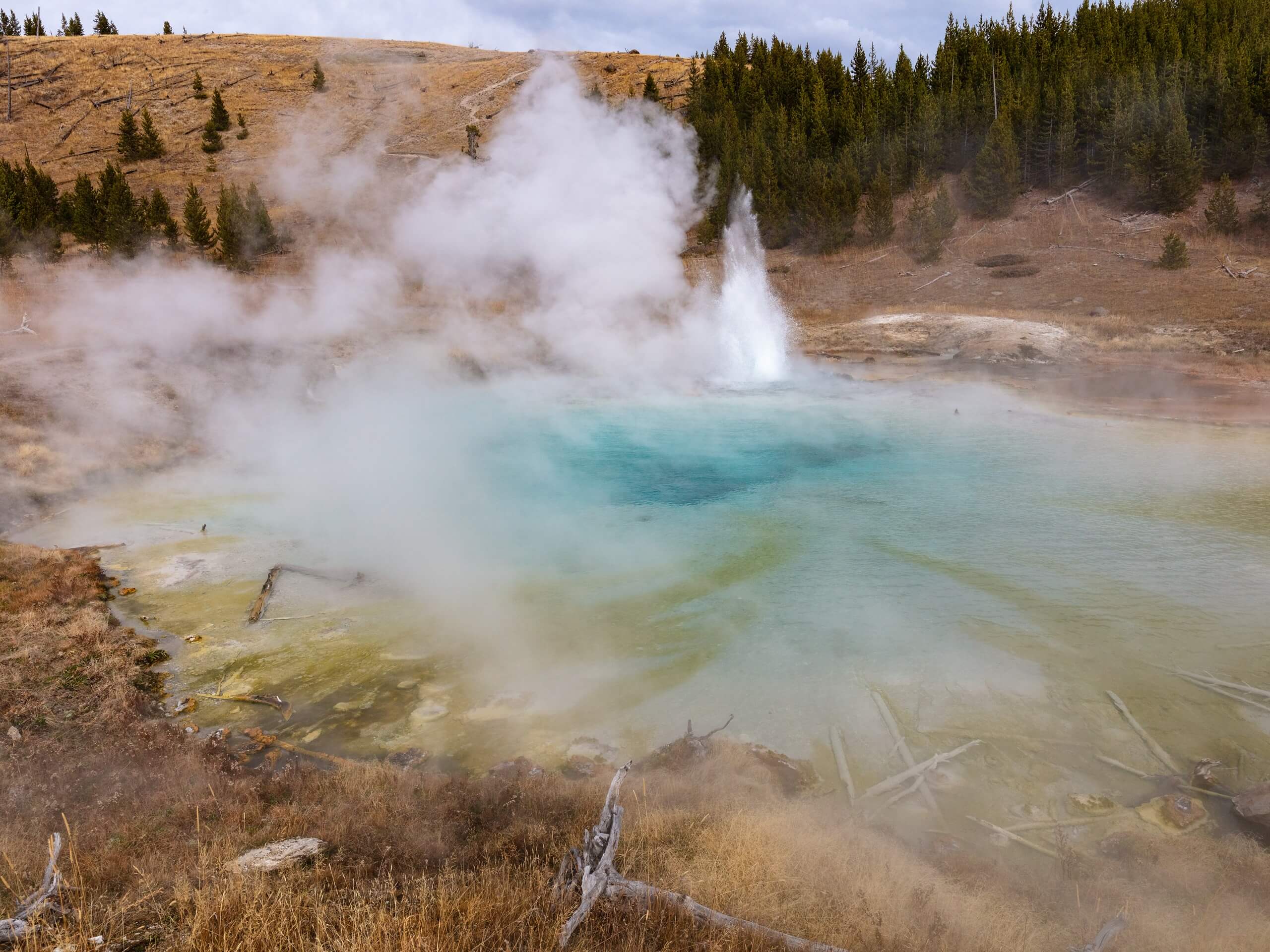 Fairy Creek Trail to the Imperial Geyser