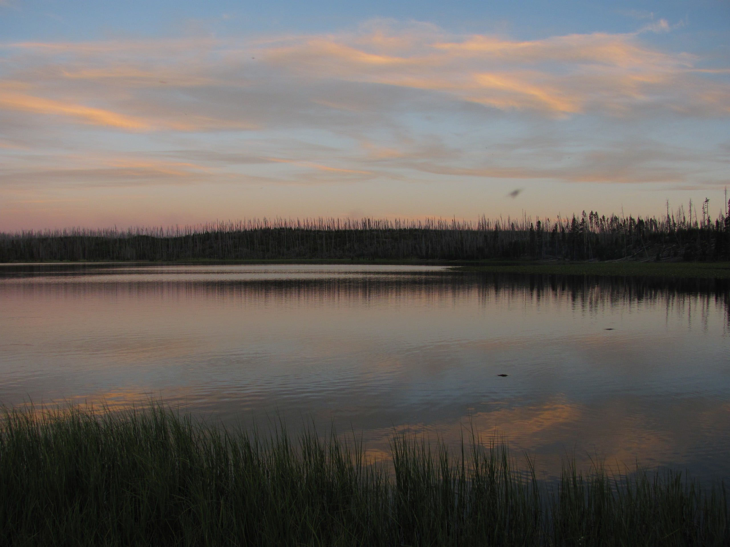 Grebe Lake Trail