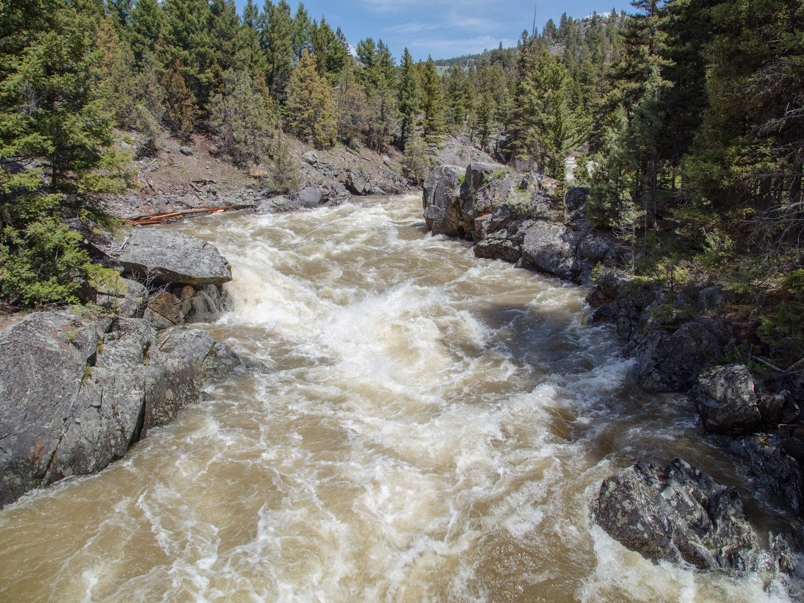 Hellroaring Creek Trail to The Yellowstone River