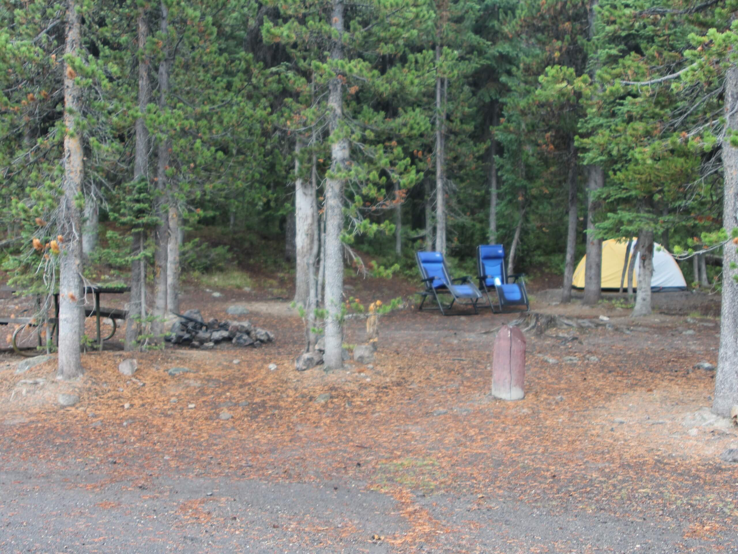 Lewis Lake Campground Trail