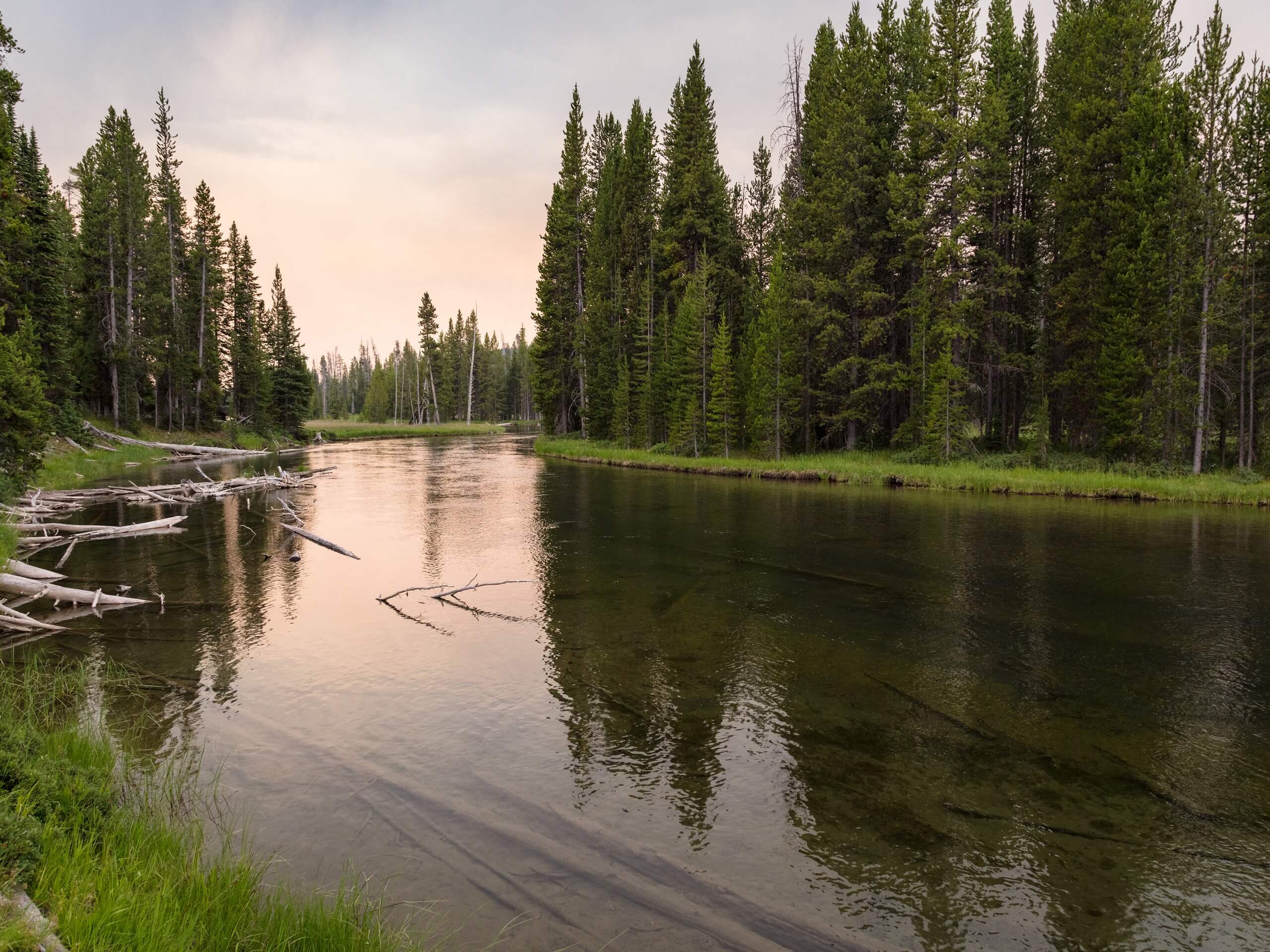 Lewis River Channel Loop