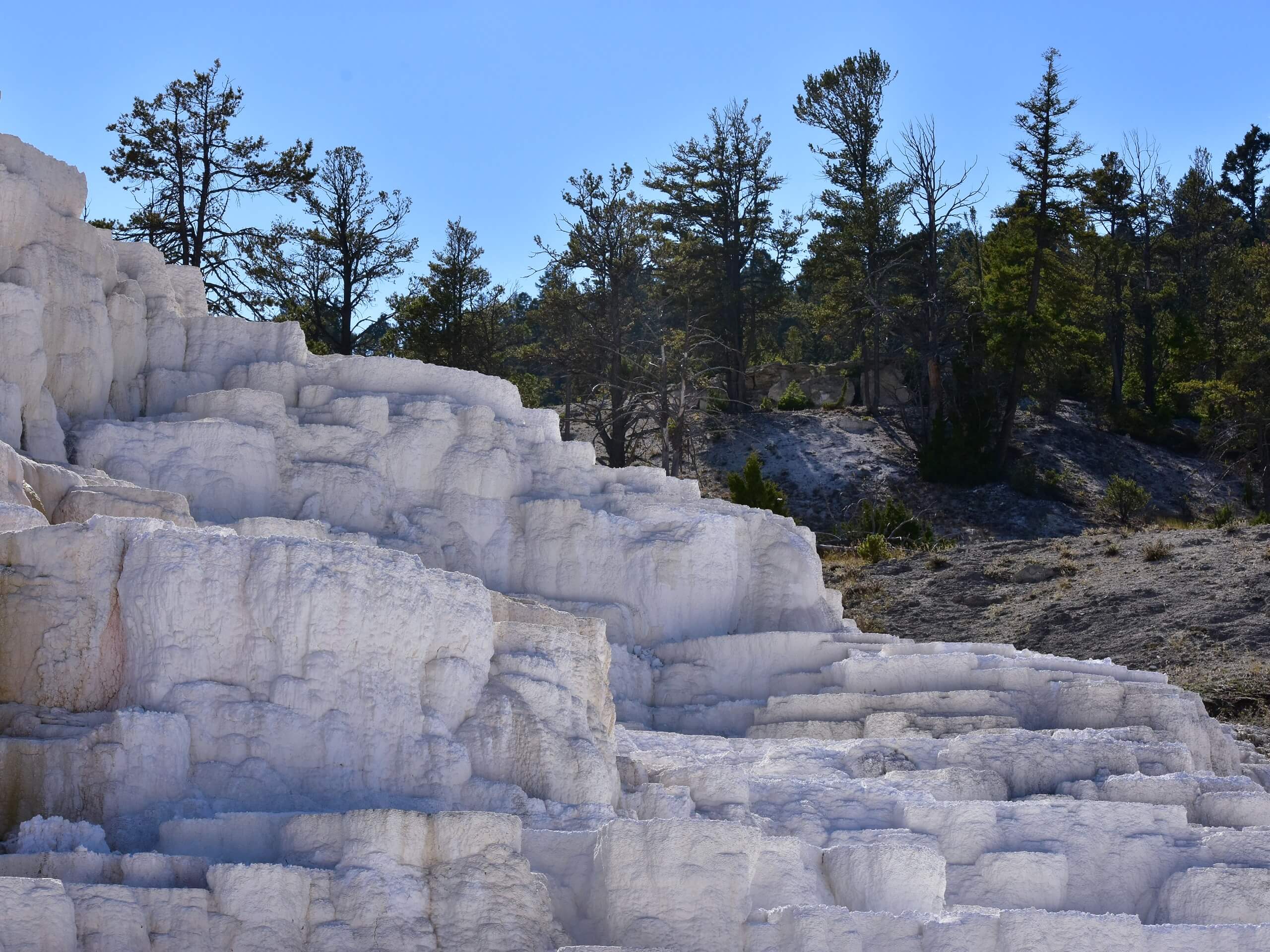 Mammoth Terraces and Upper Terrace Loop