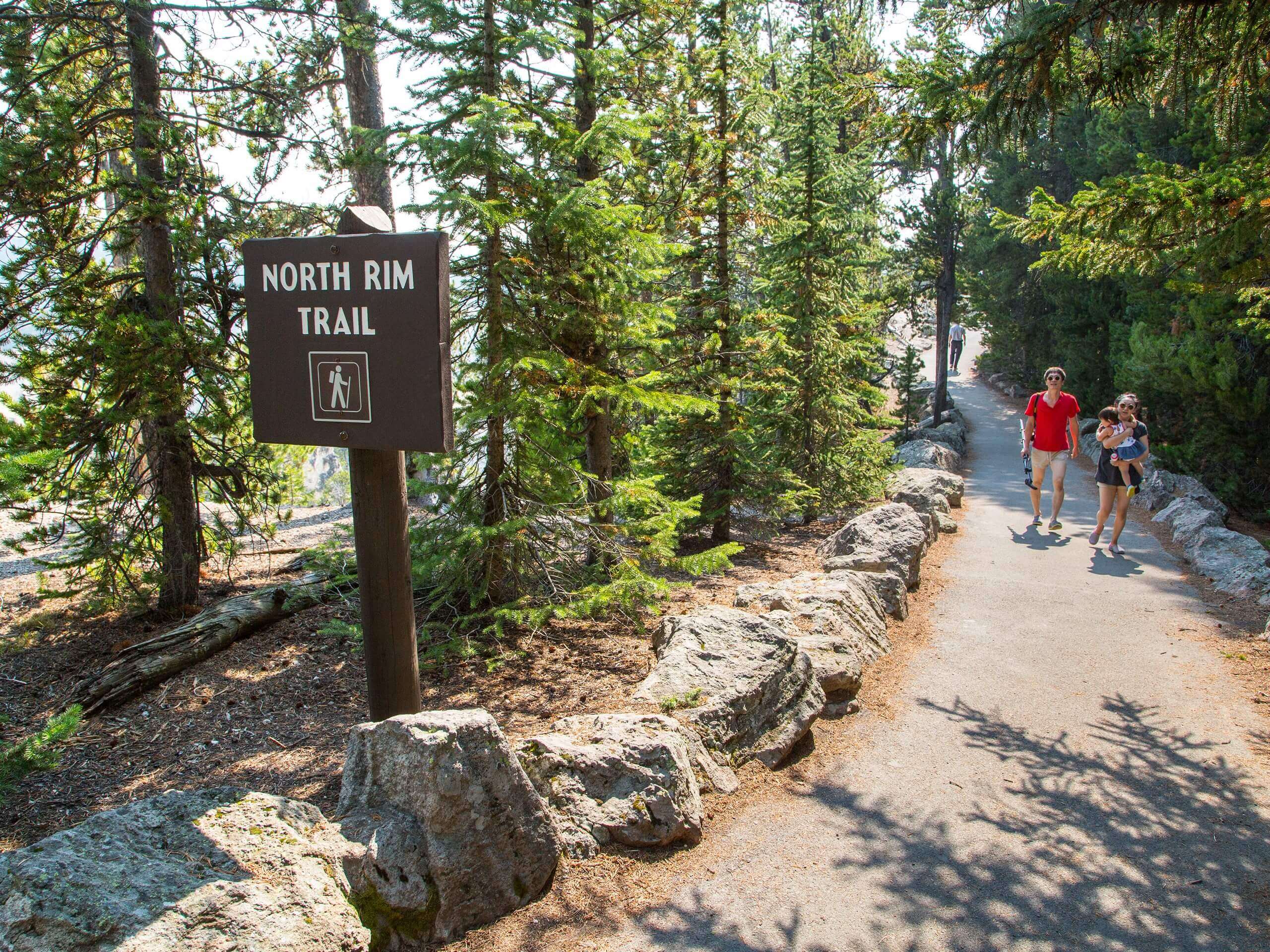 North Rim Trail to Yellowstone Falls, Crystal Falls, and Inspiration Point