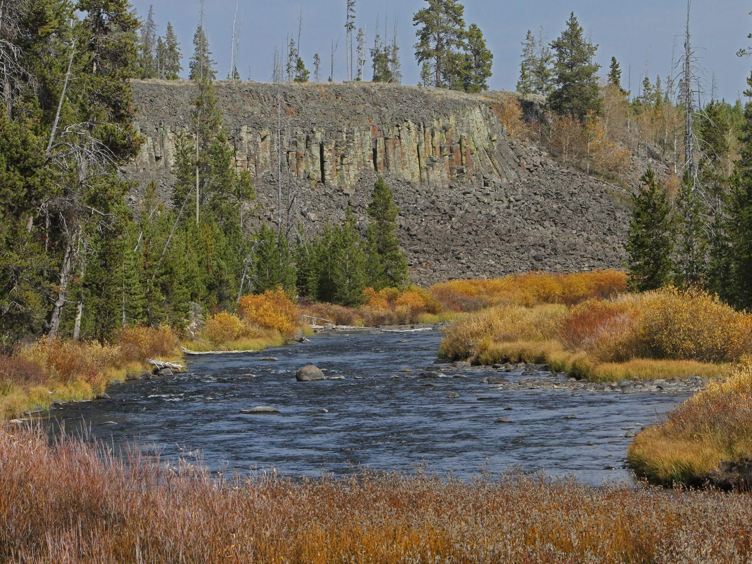 Sheepeater Cliff Trail