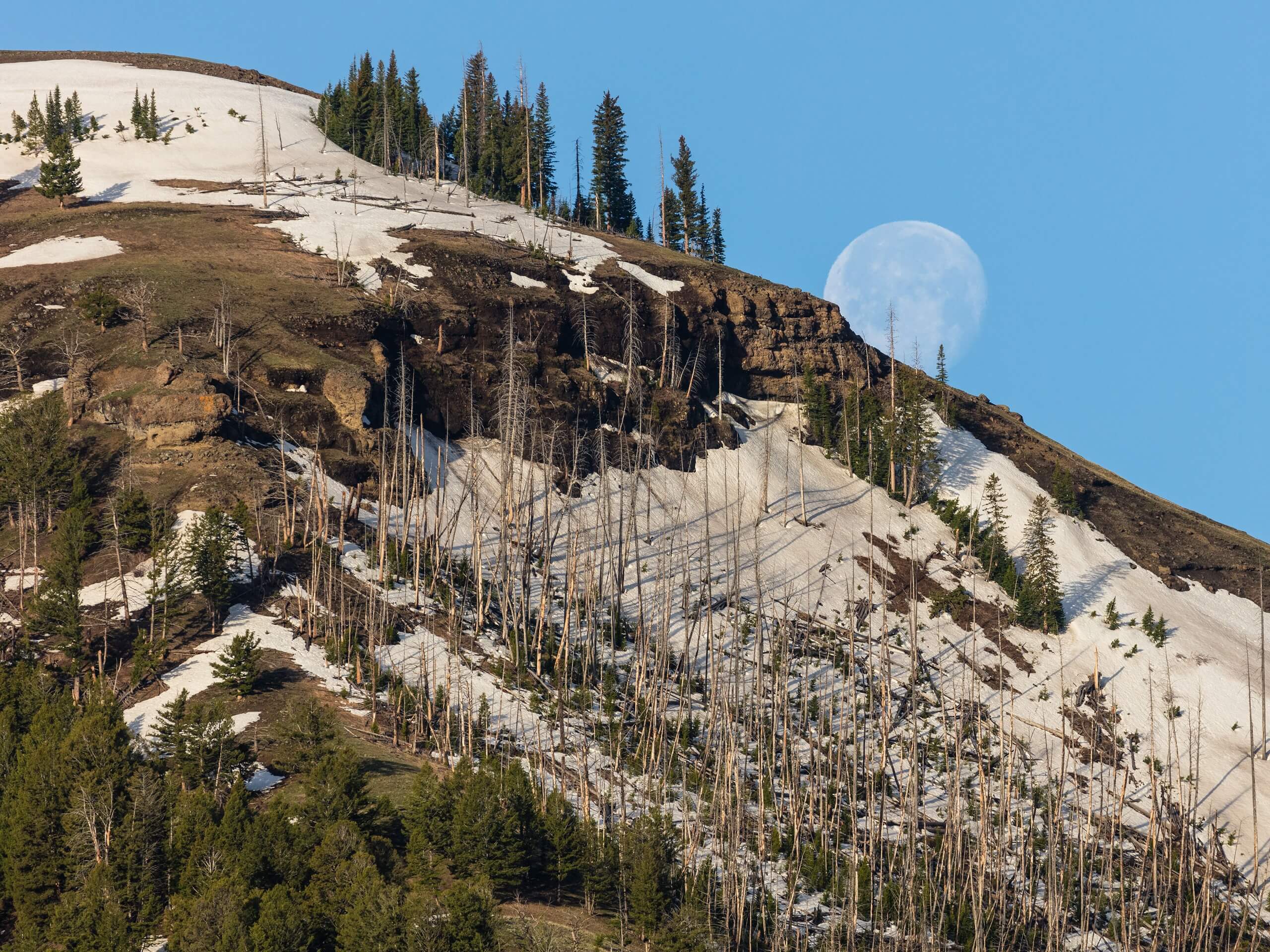 Specimen Ridge and Amethyst Mountain Trail