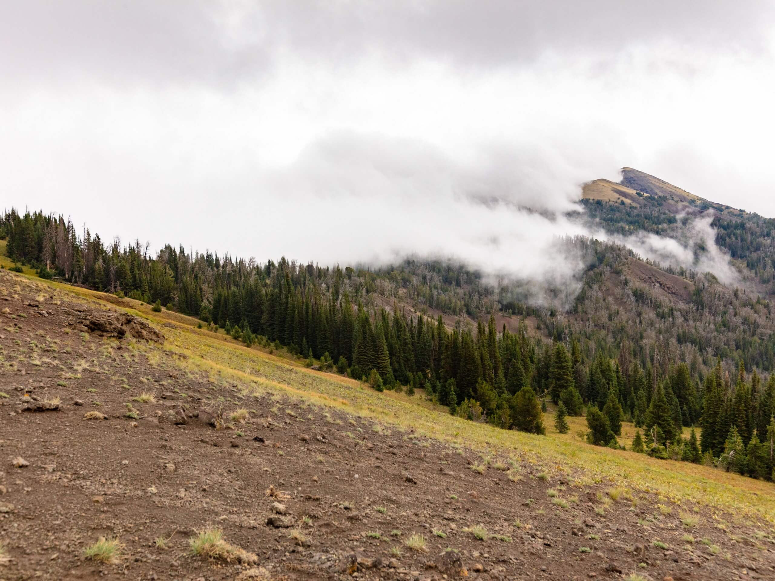 The Hoodoos Trail