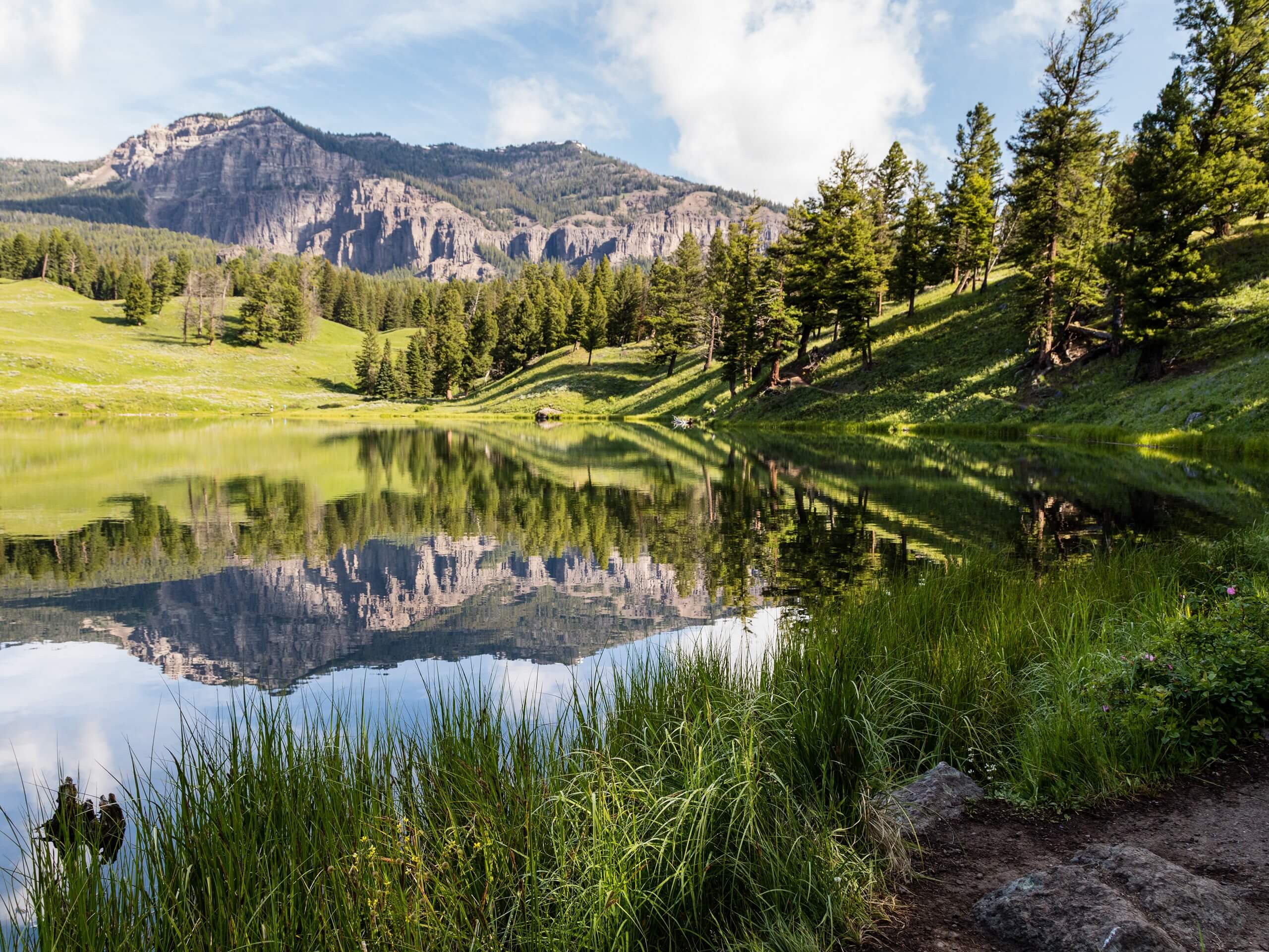 Trout Lake Loop