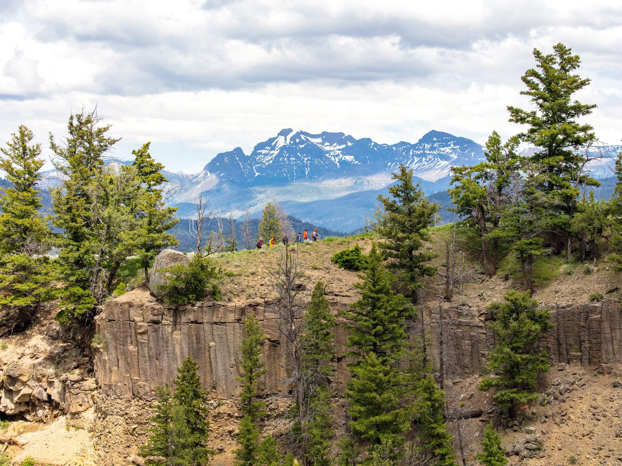 Yellowstone River Picnic Area Loop