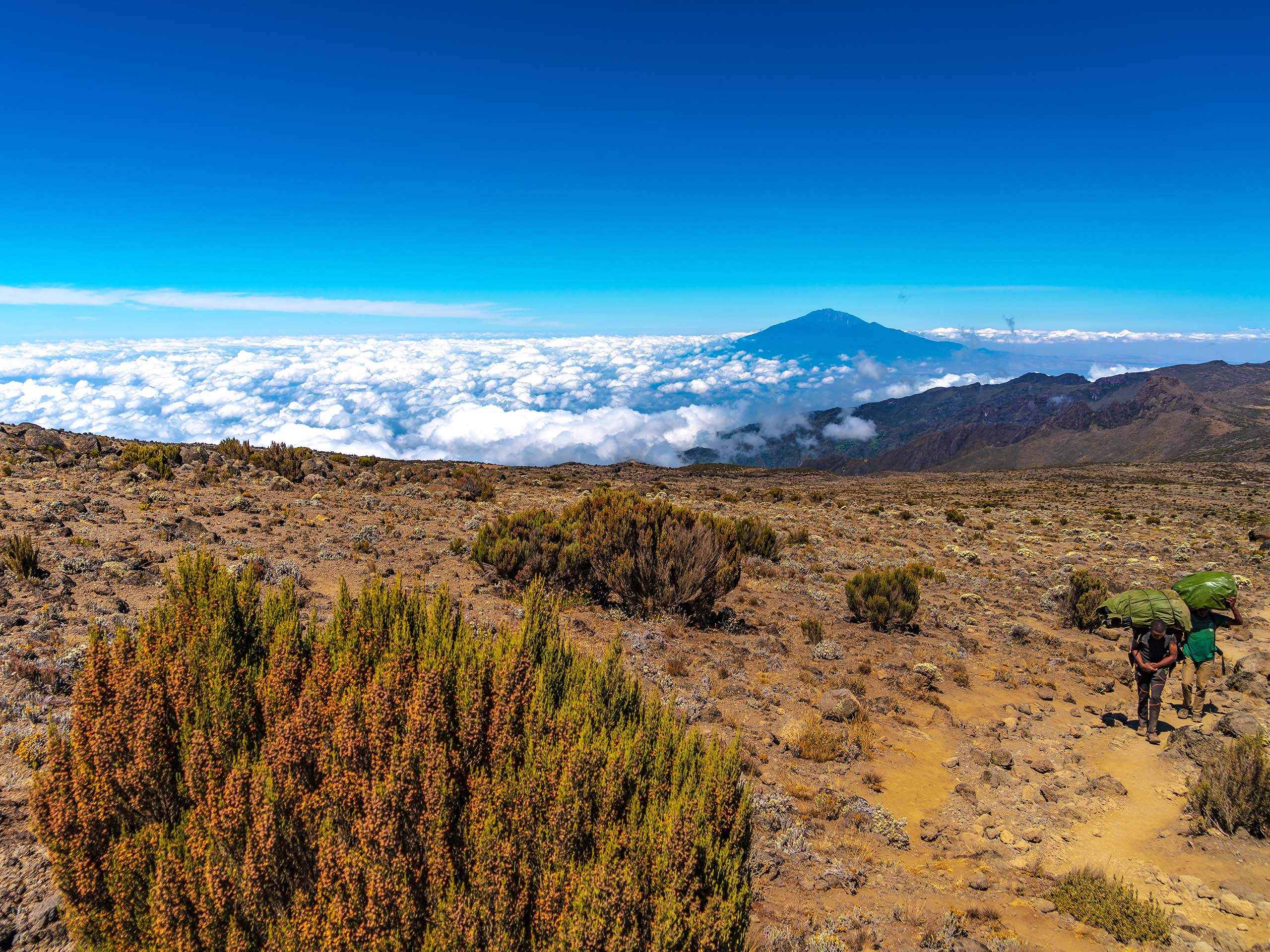 Climbing Kilimanjaro - Trek Past the Lava Tower to Barranco Camp
