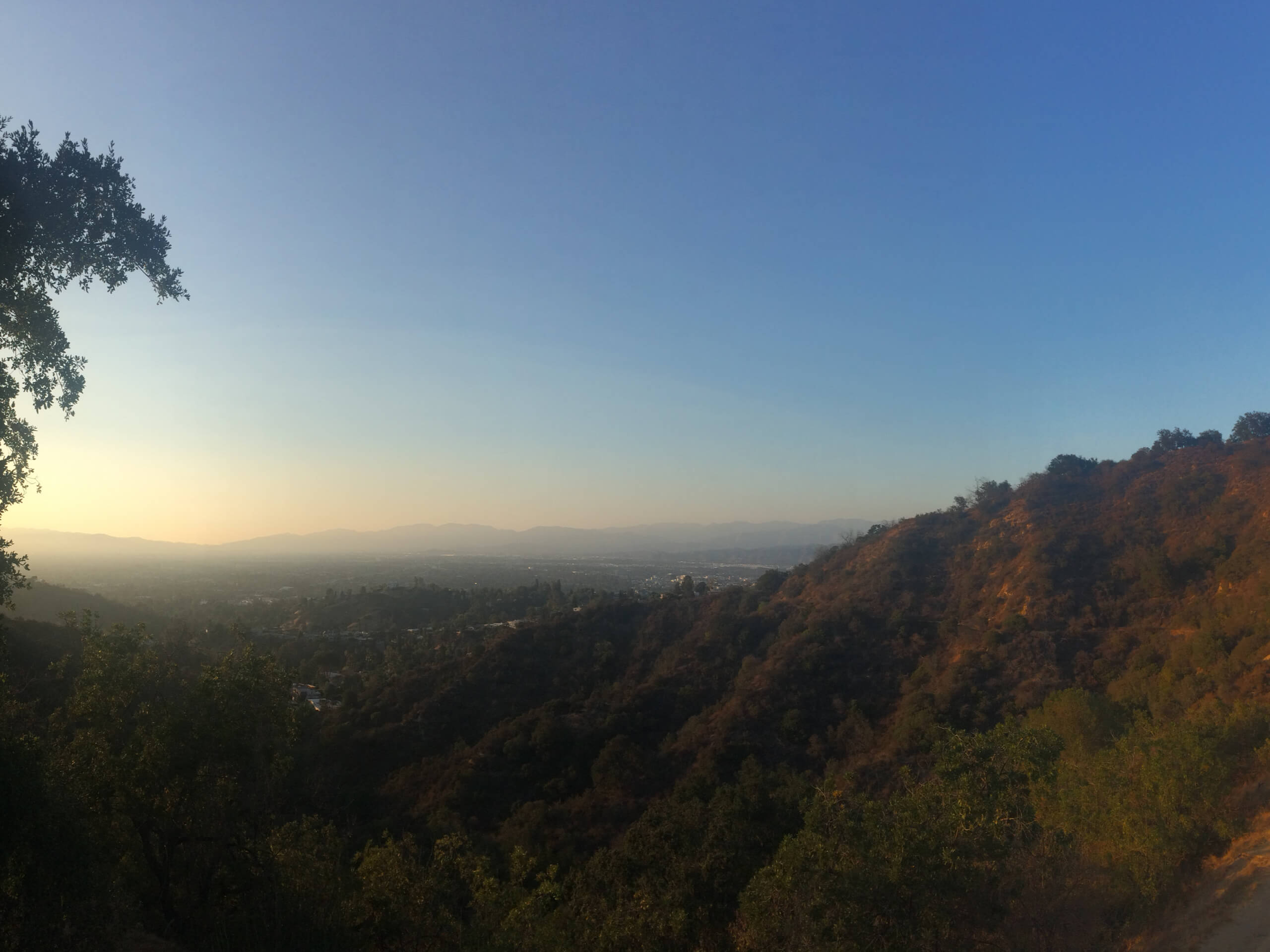 Betty B Dearing Mountain Trail