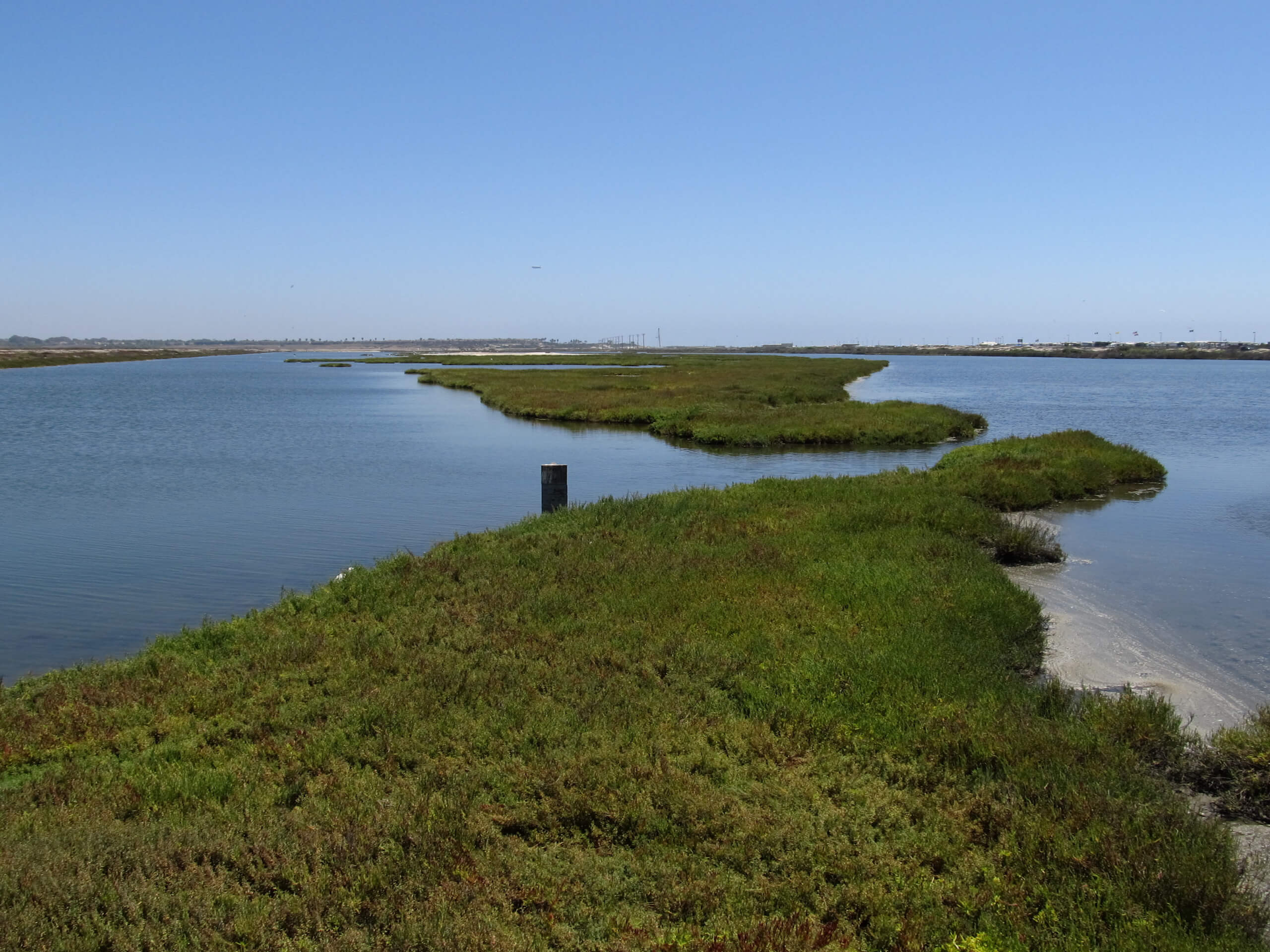 Bolsa Chica Ecological Reserve Trail