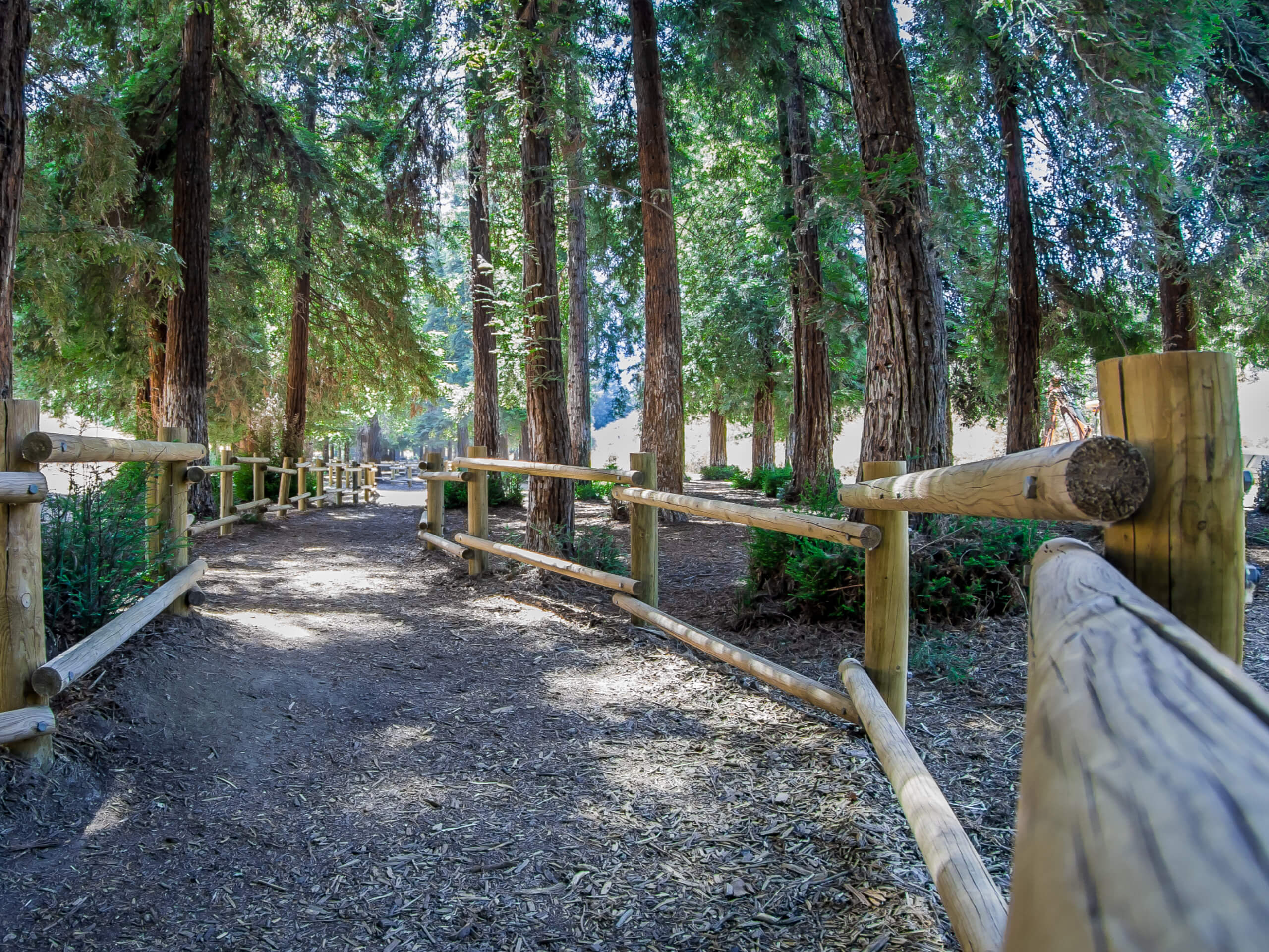 Carbon Canyon Nature Trail