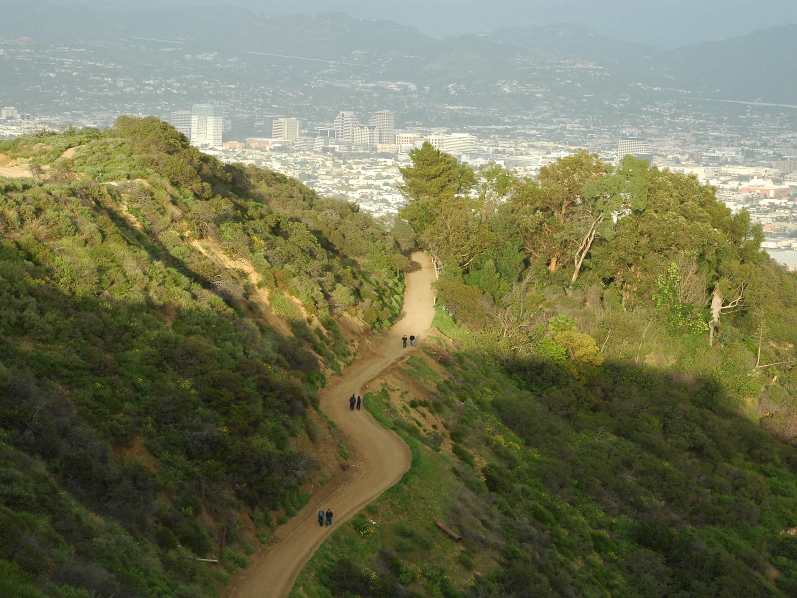 Glendale Peak Trail