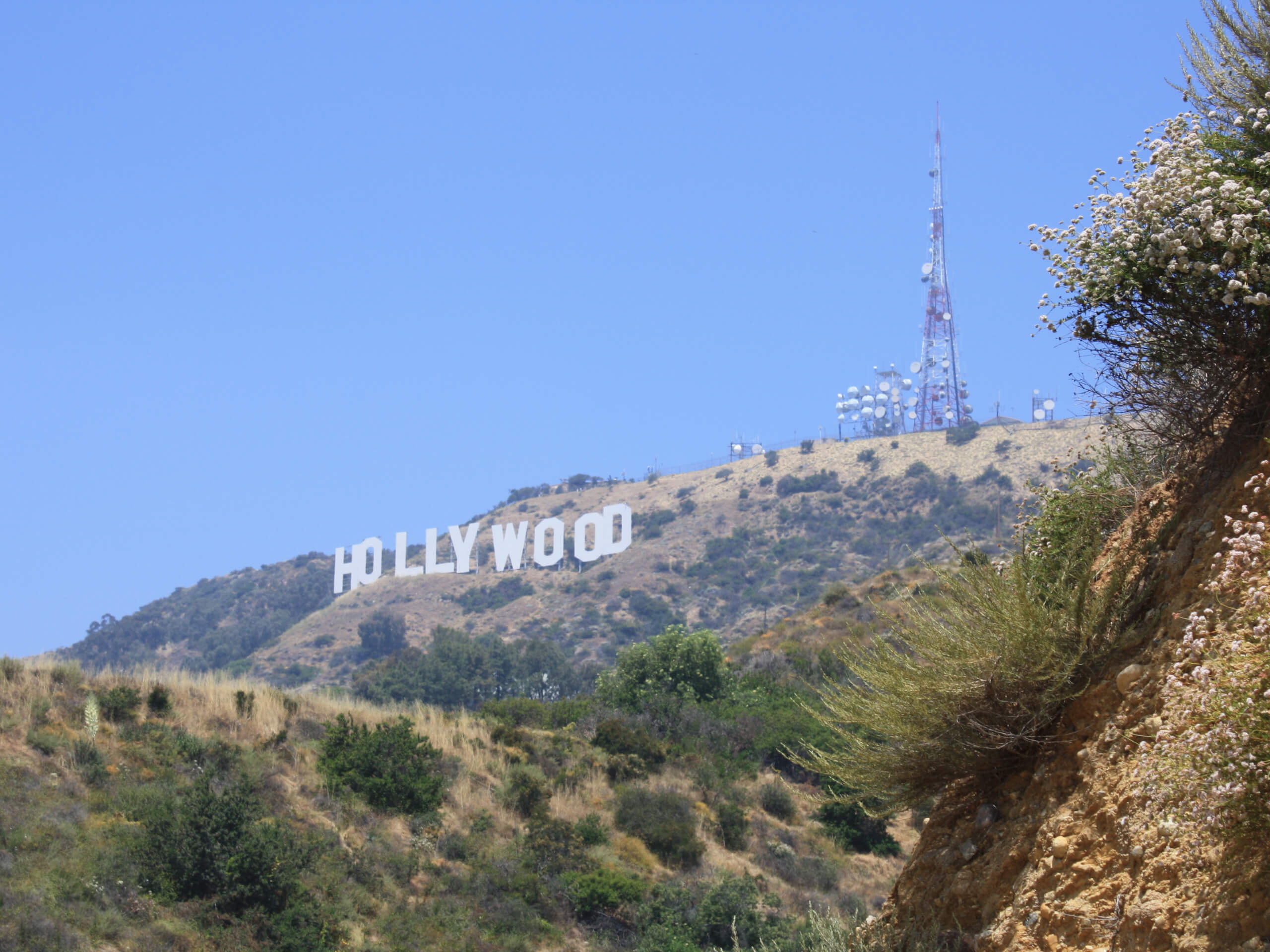 Hollyridge Trail to Hollywood Sign Viewpoint