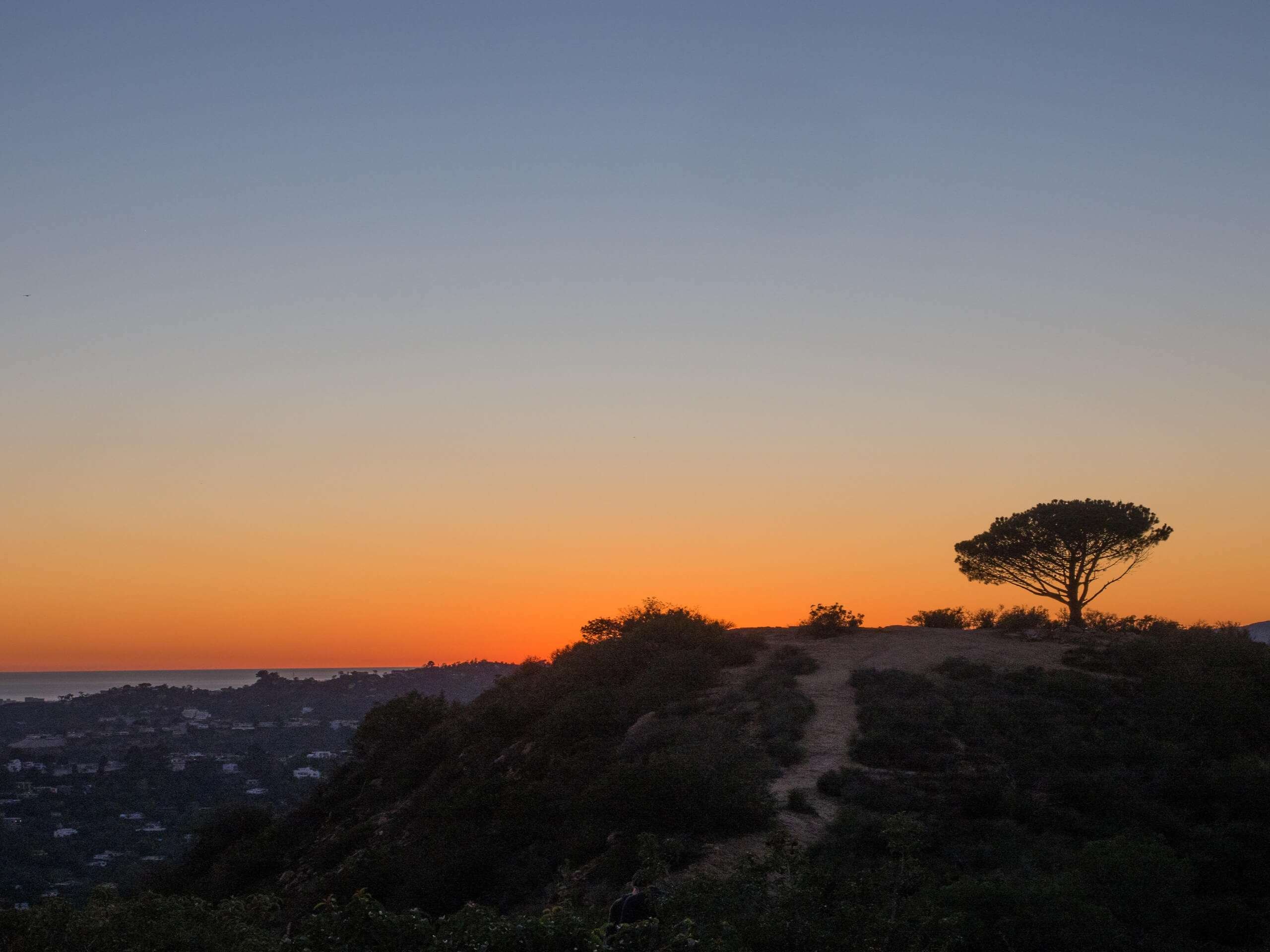 Hollywood Sign and the Wisdom Tree Hike