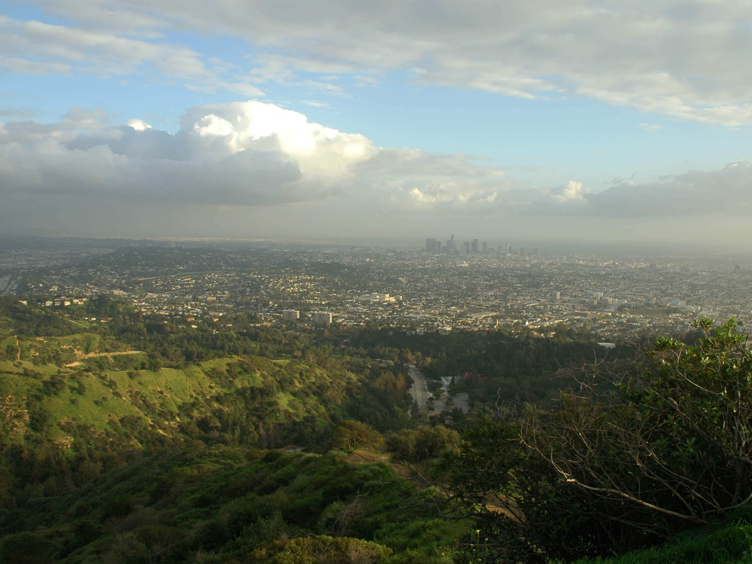 Mount Hollywood Trail