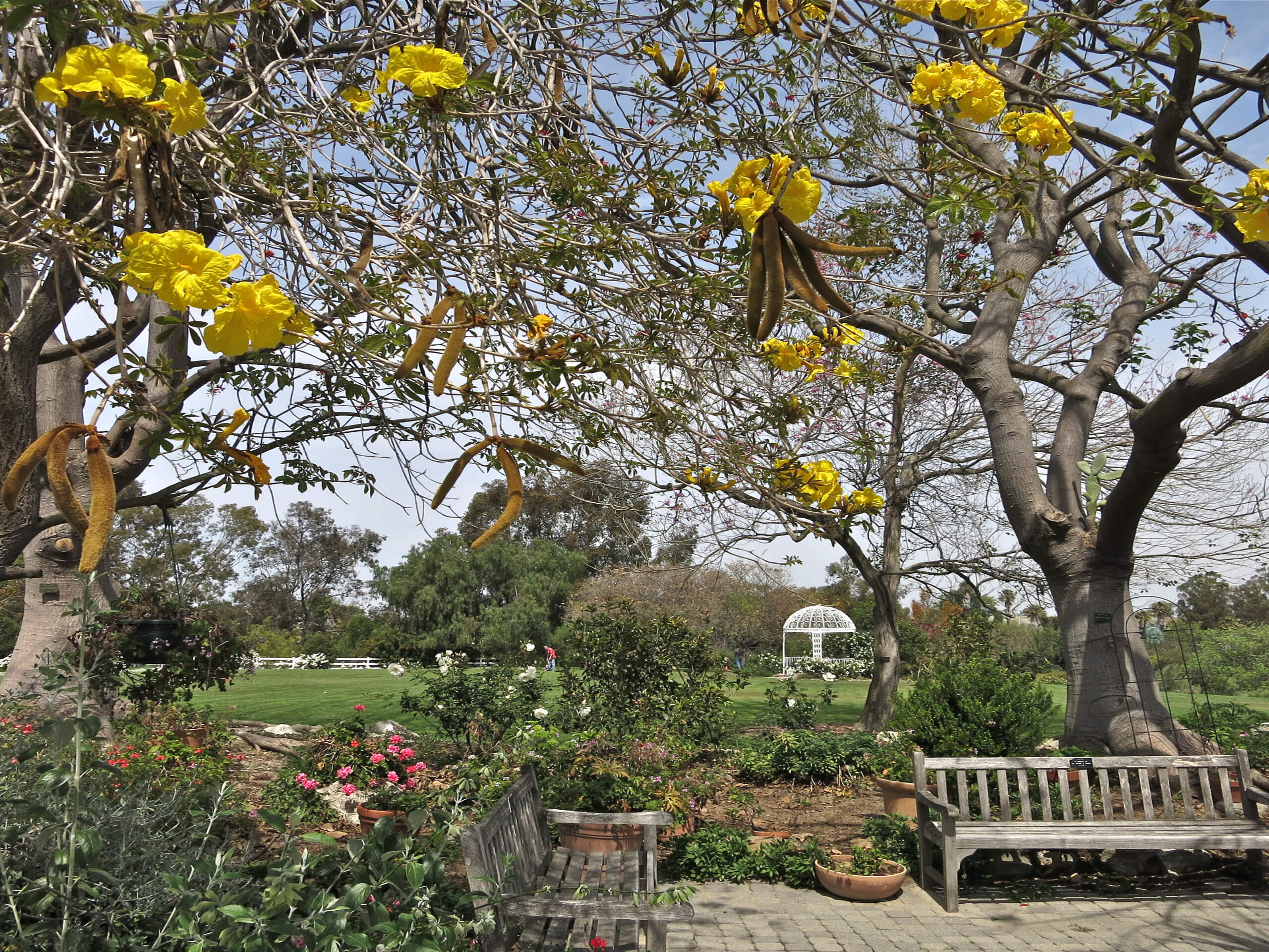 South Coast Botanic Garden