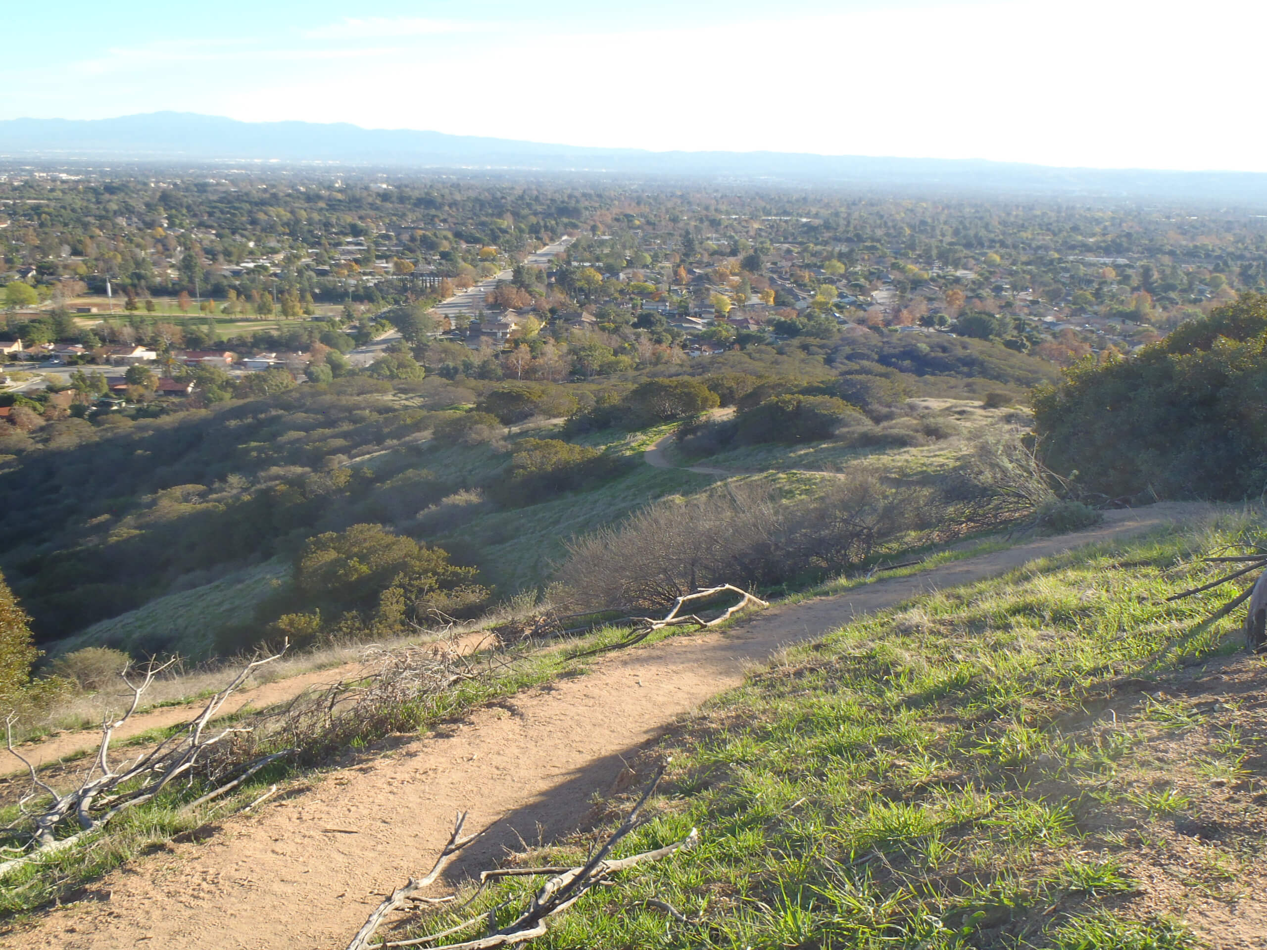 Sycamore Canyon Trail