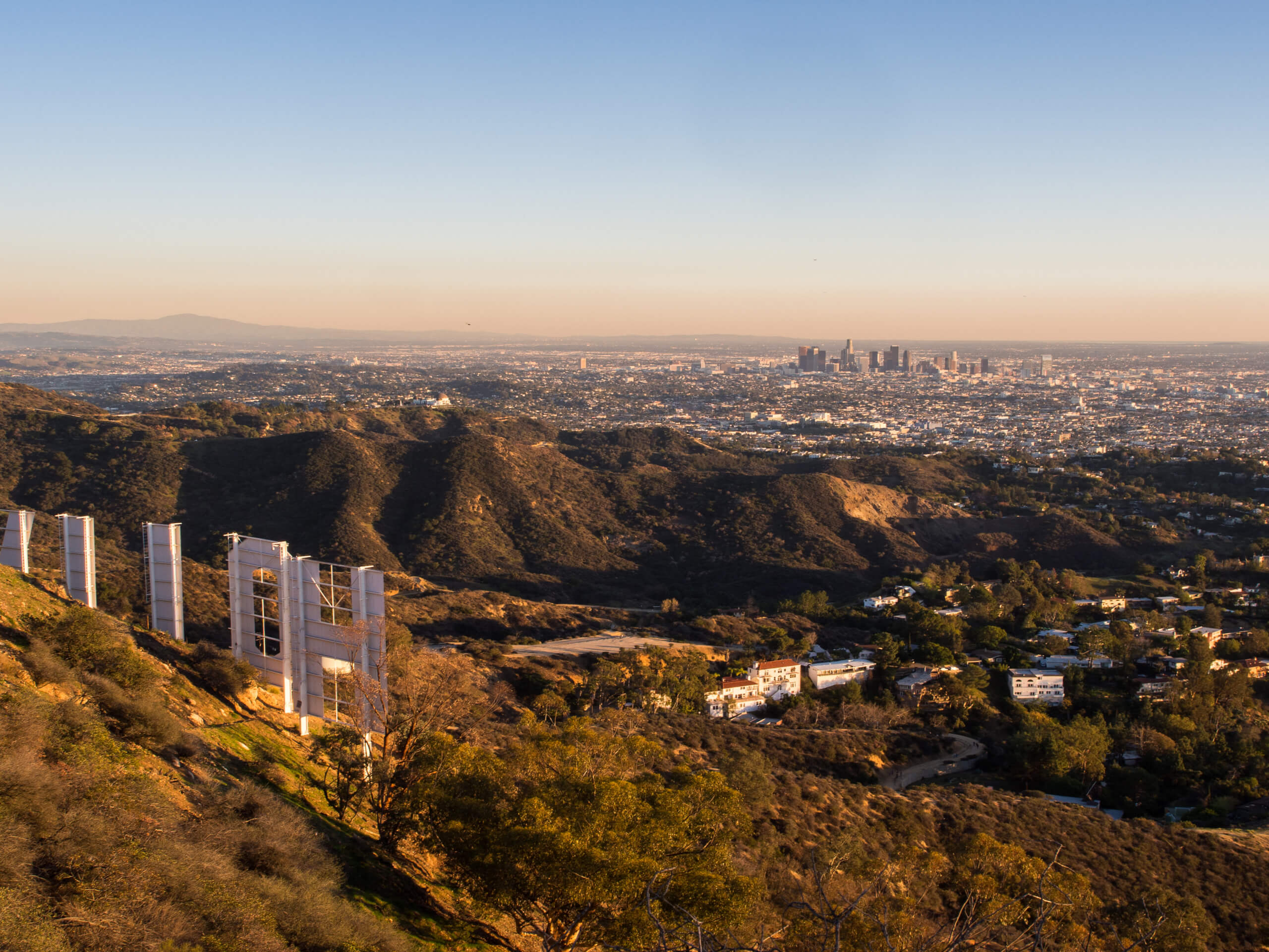 Wisdom Tree, Cahuenga Peak, and Mount Lee Summit Loop