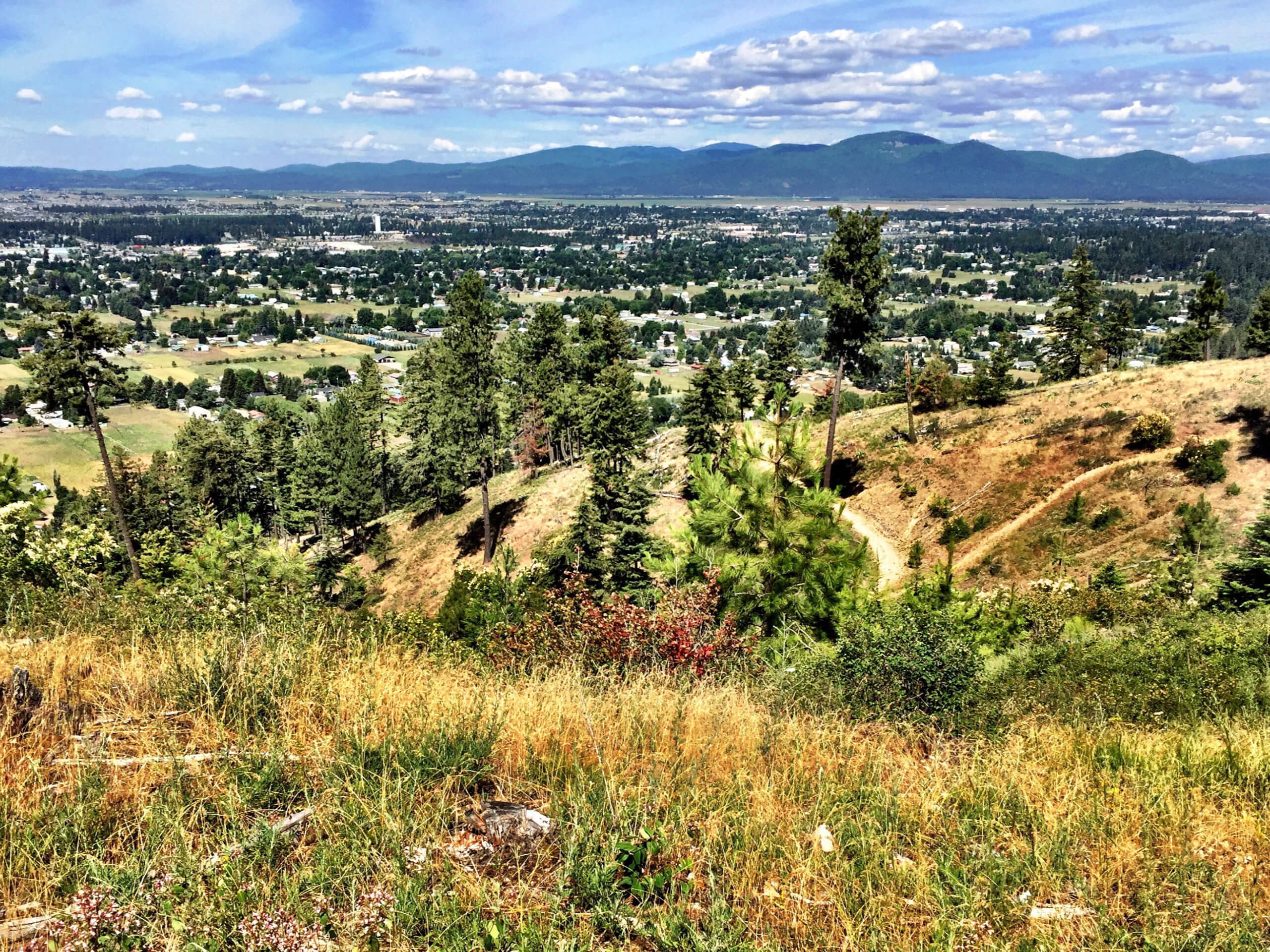 Canfield Mountain Loop Trail